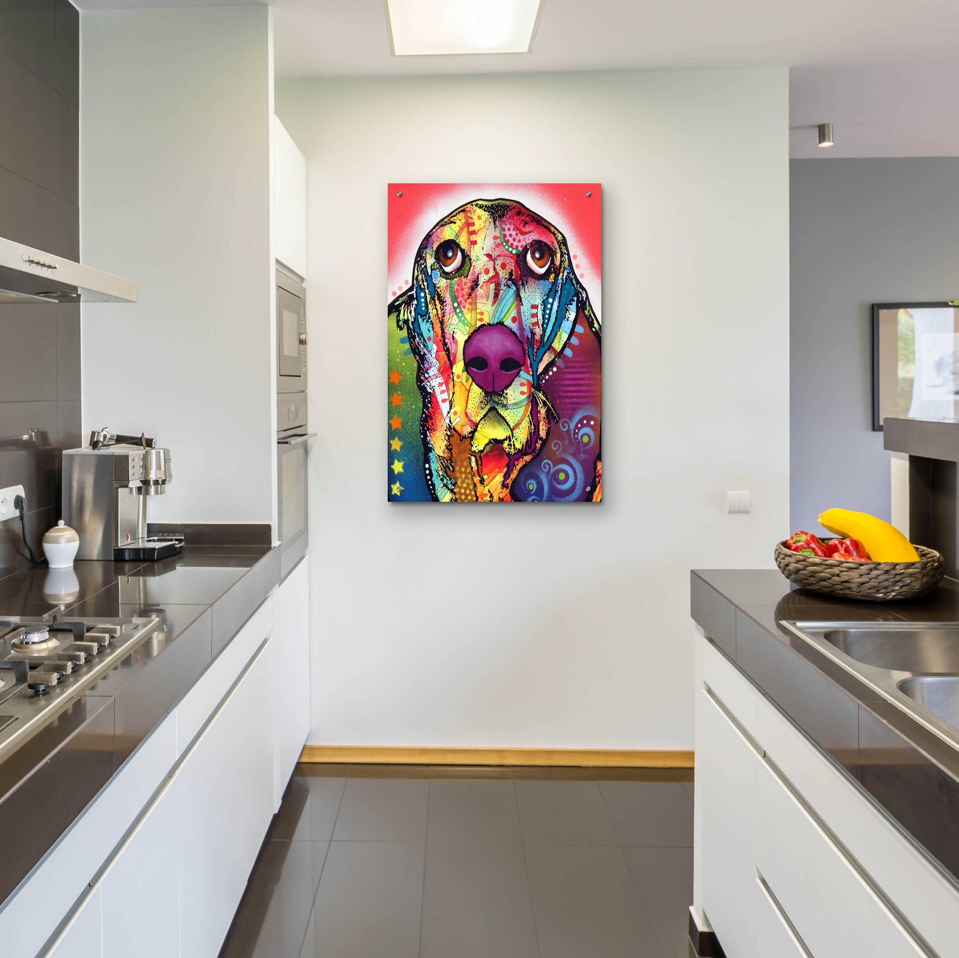 Epic Art 'Basset 1' by Dean Russo, Acrylic Glass Wall Art,24x36