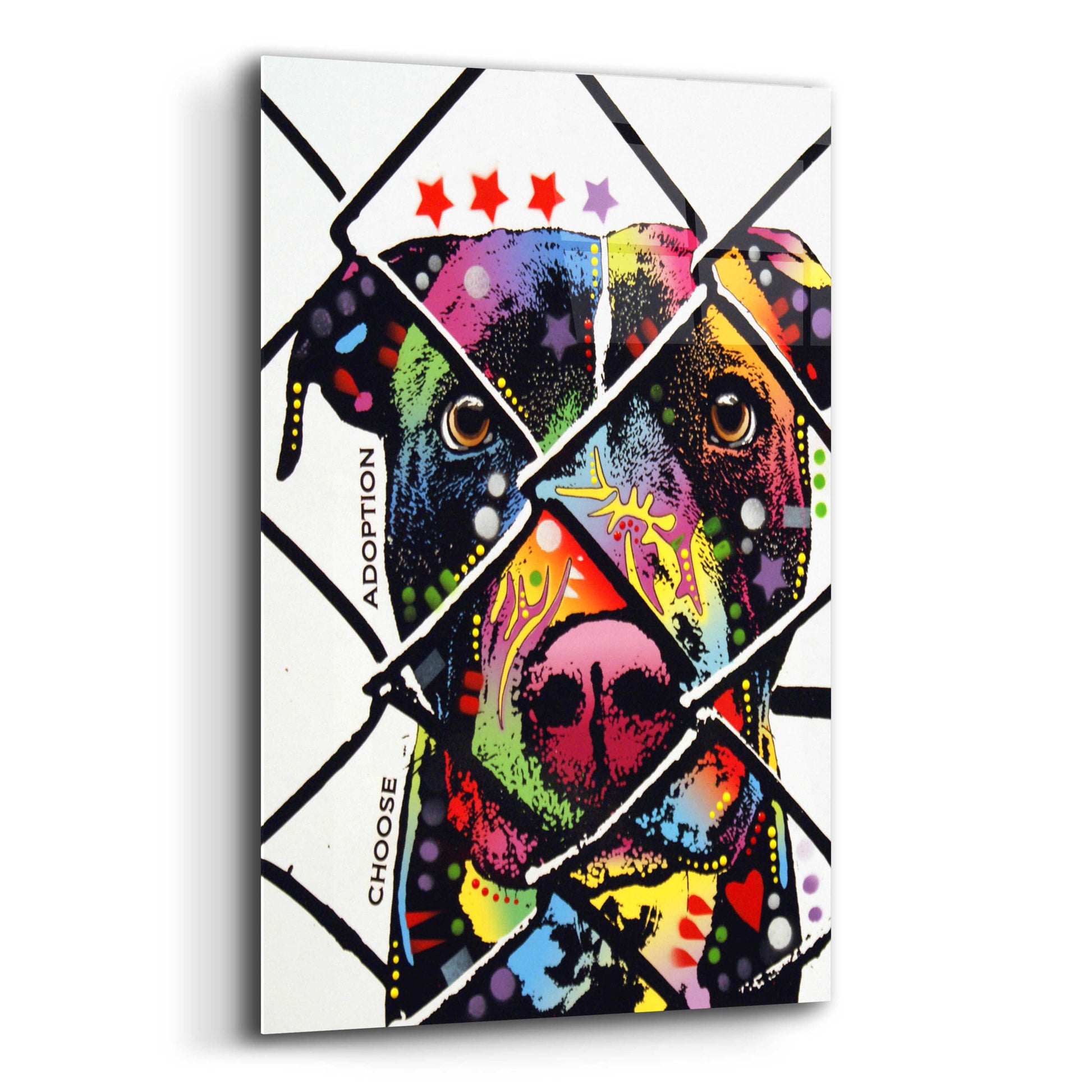 Epic Art 'Choose Adoption' by Dean Russo, Acrylic Glass Wall Art,12x16