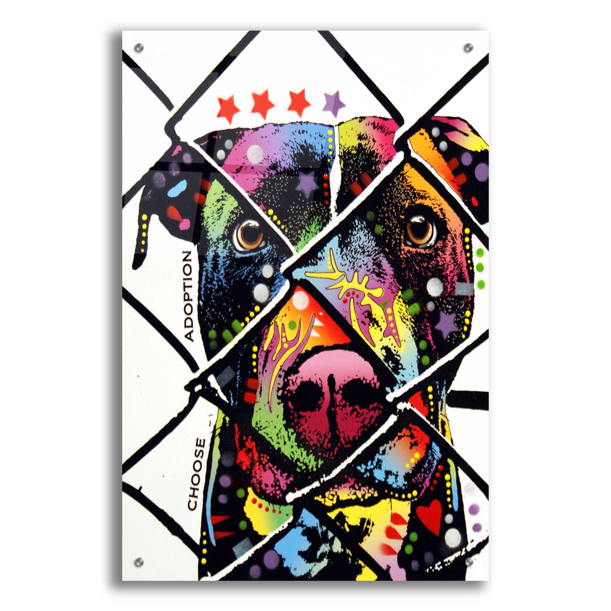 Epic Art 'Choose Adoption' by Dean Russo, Acrylic Glass Wall Art,24x36