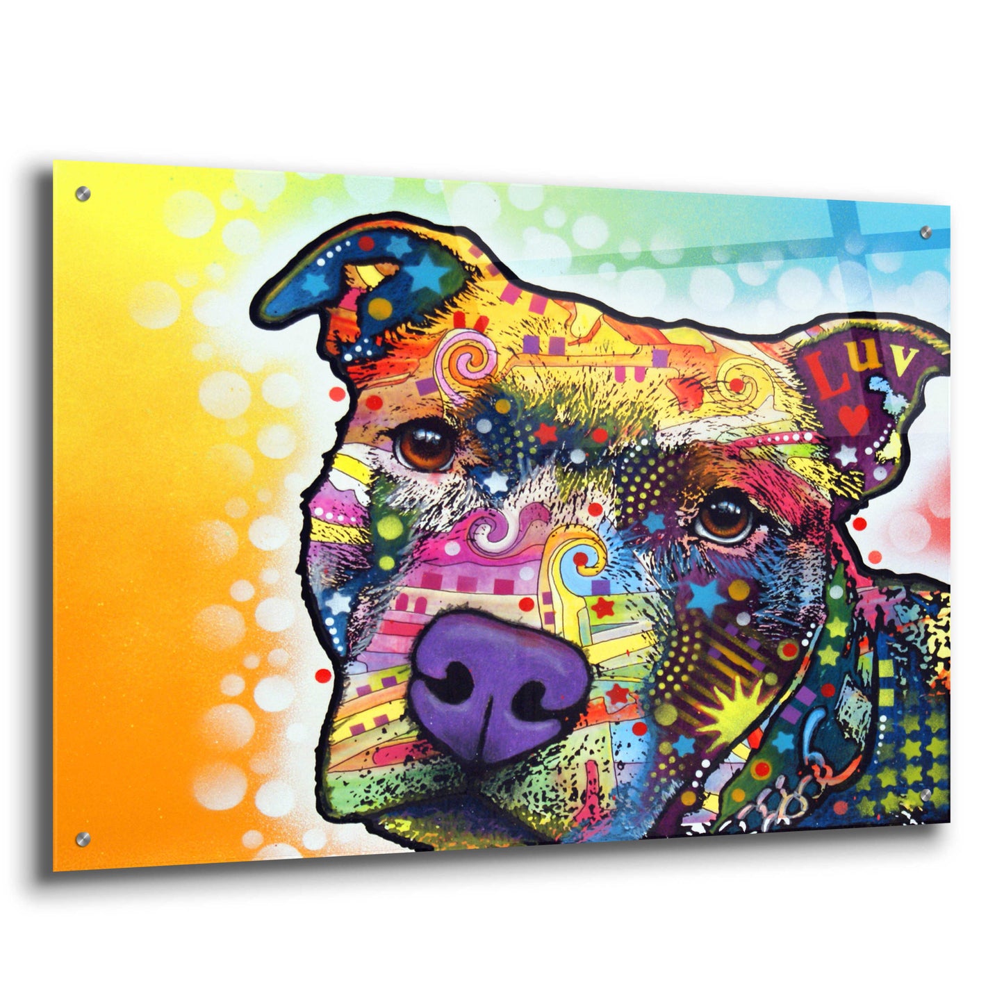 Epic Art 'Contemplative Pit' by Dean Russo, Acrylic Glass Wall Art,36x24