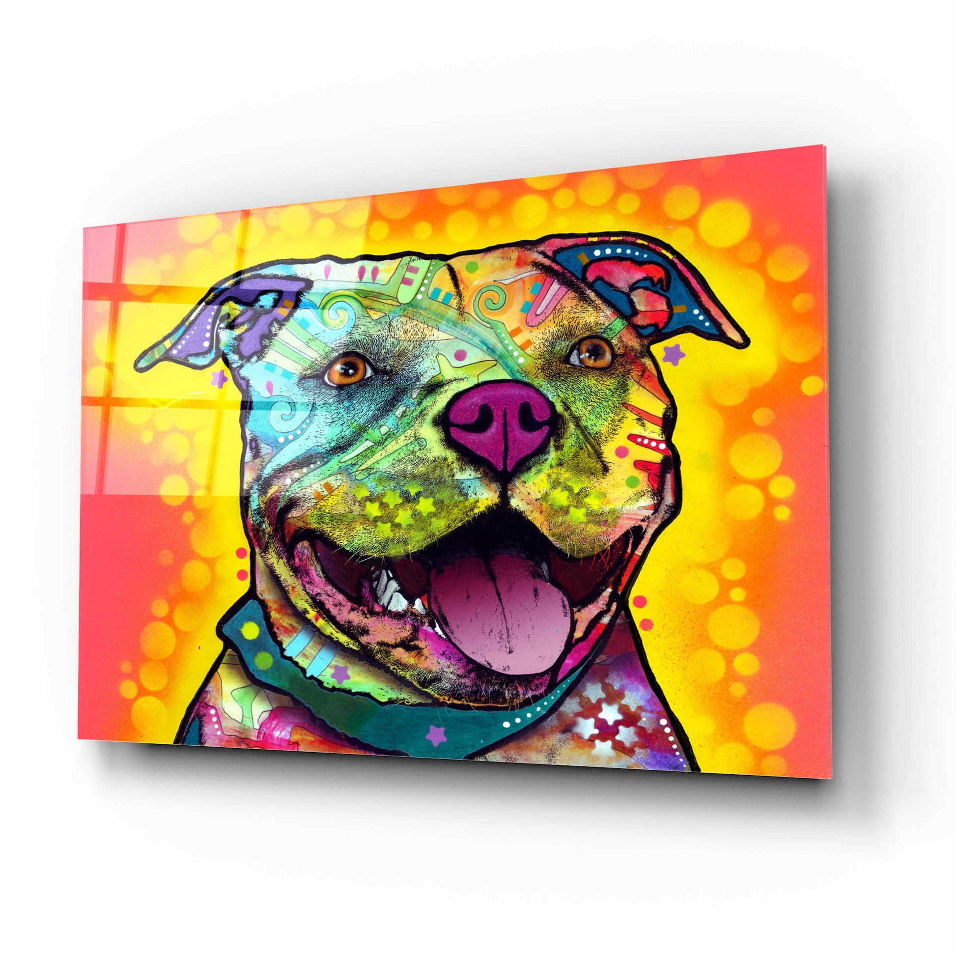 Epic Art 'Dewey Pit Bull' by Dean Russo, Acrylic Glass Wall Art,16x12