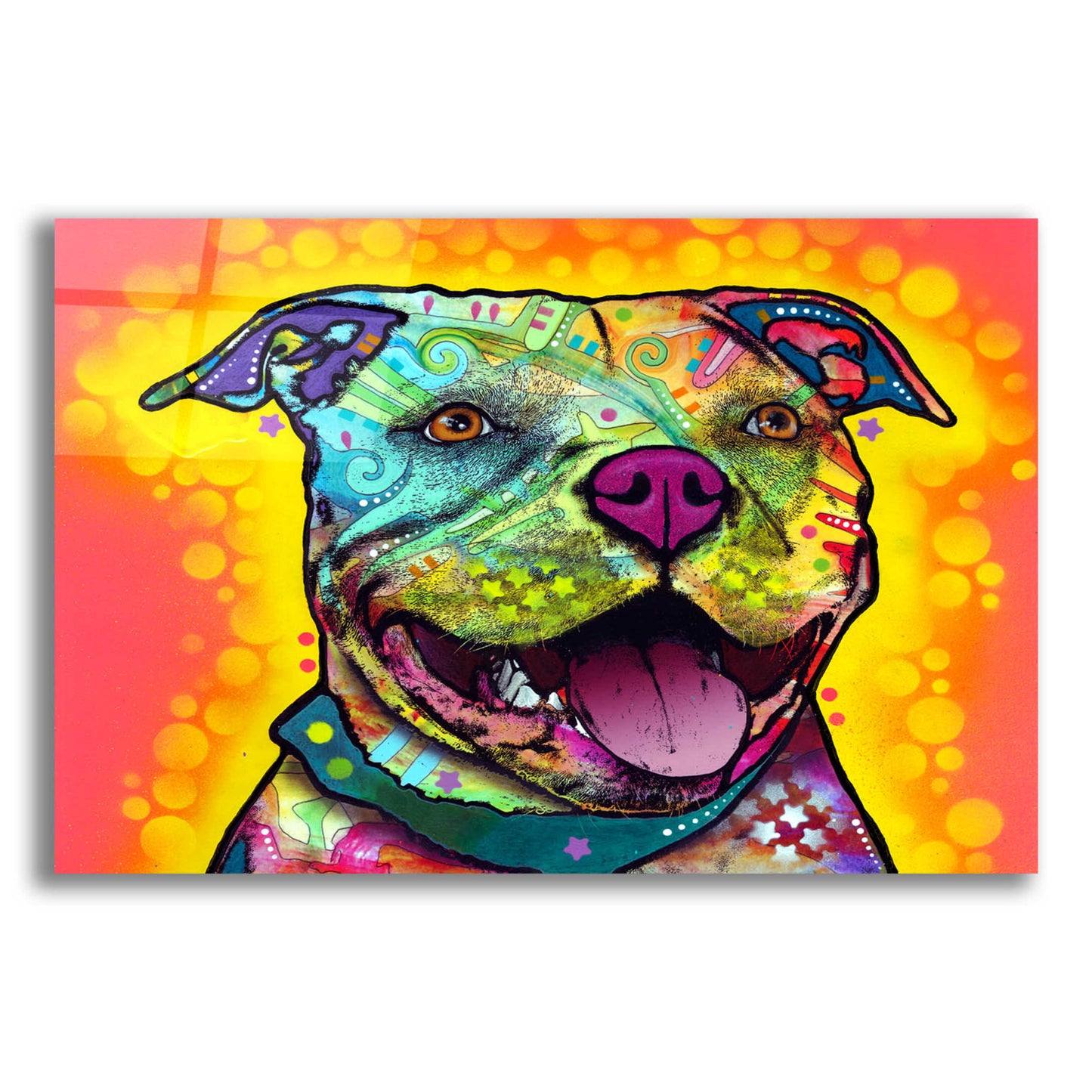 Epic Art 'Dewey Pit Bull' by Dean Russo, Acrylic Glass Wall Art,16x12