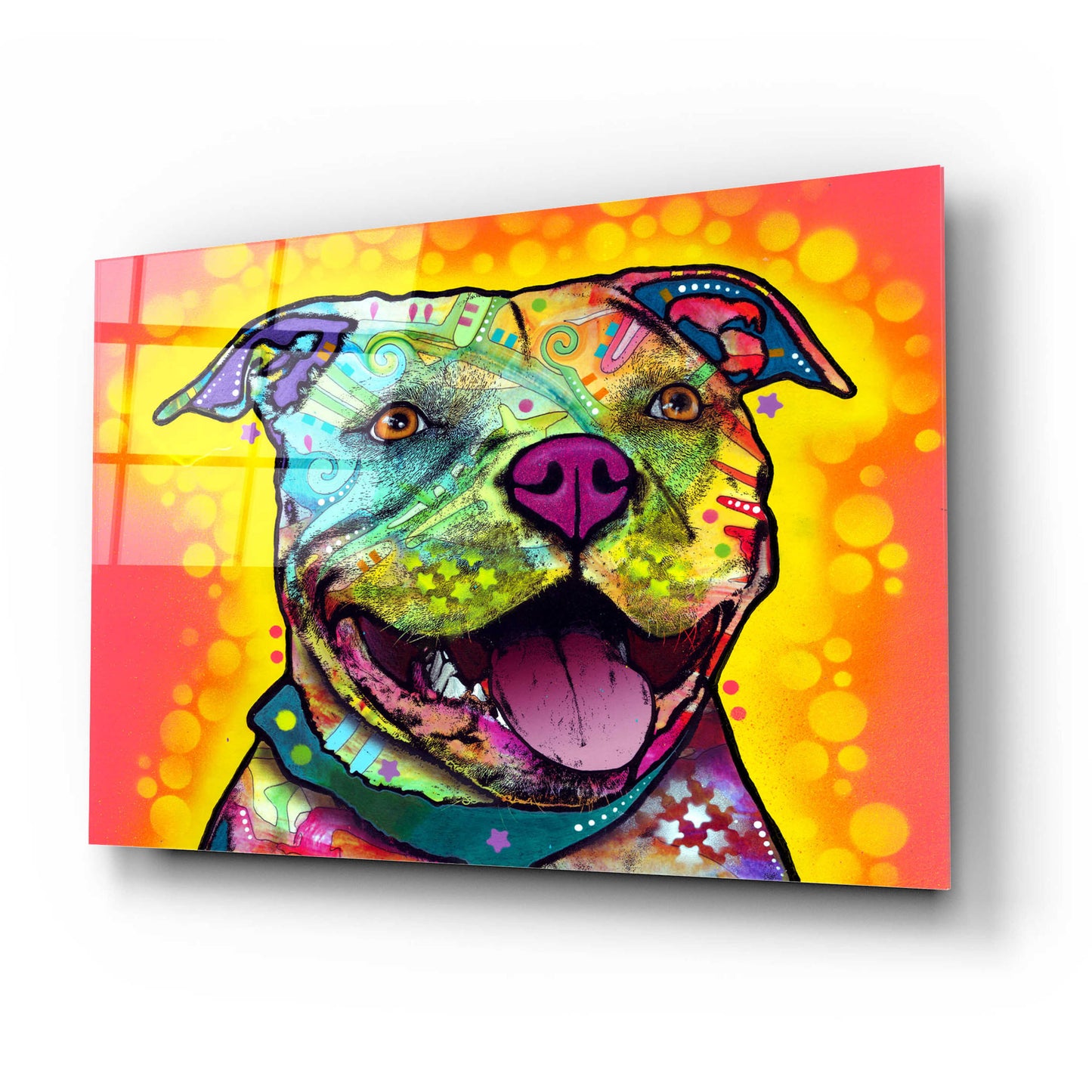 Epic Art 'Dewey Pit Bull' by Dean Russo, Acrylic Glass Wall Art,24x16