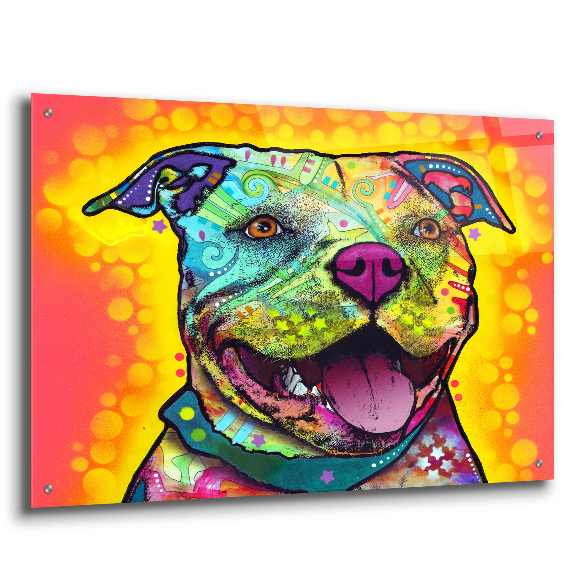 Epic Art 'Dewey Pit Bull' by Dean Russo, Acrylic Glass Wall Art,36x24