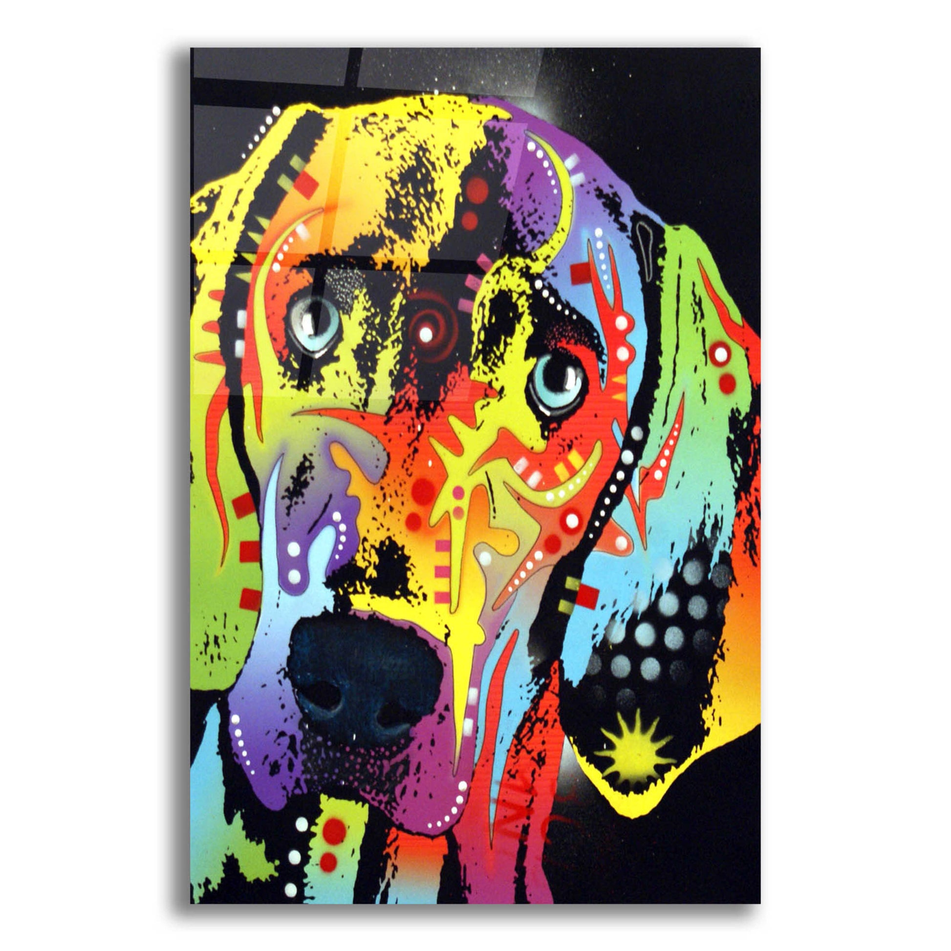 Epic Art 'Weimaraner' by Dean Russo, Acrylic Glass Wall Art,12x16