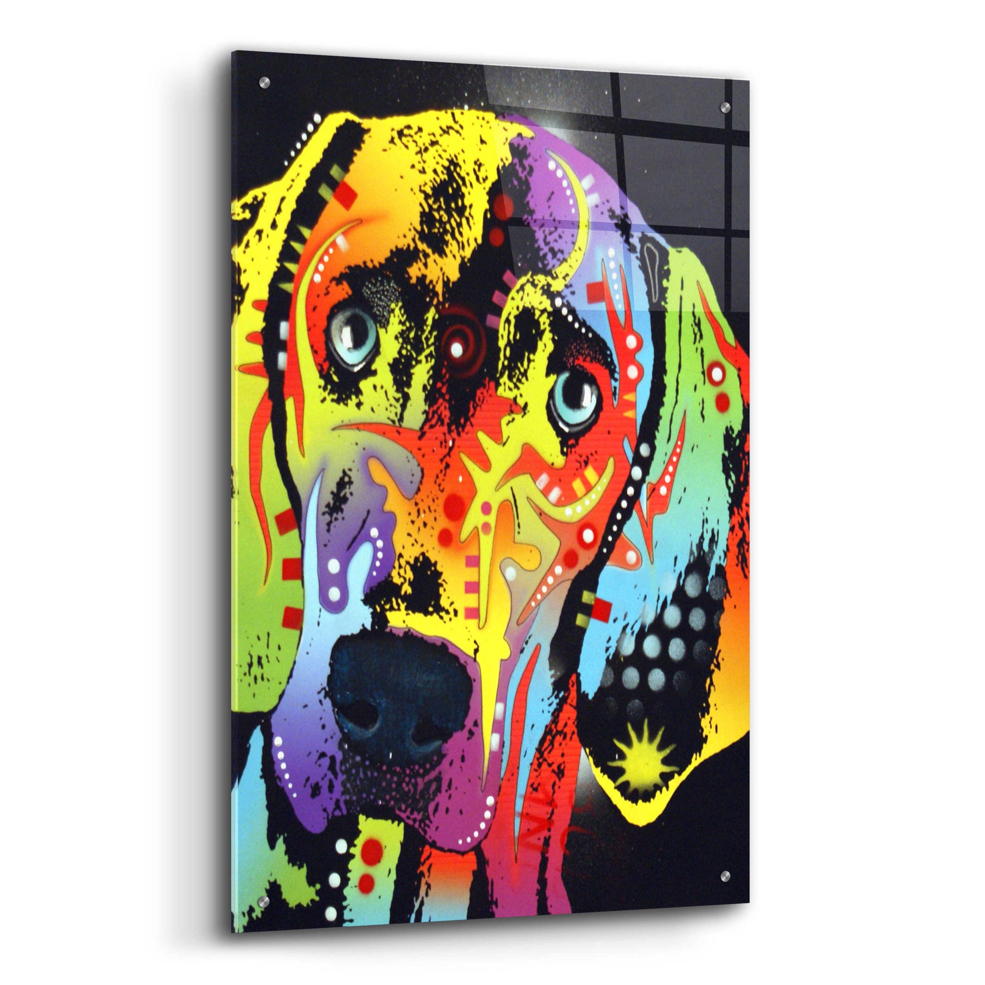 Epic Art 'Weimaraner' by Dean Russo, Acrylic Glass Wall Art,24x36