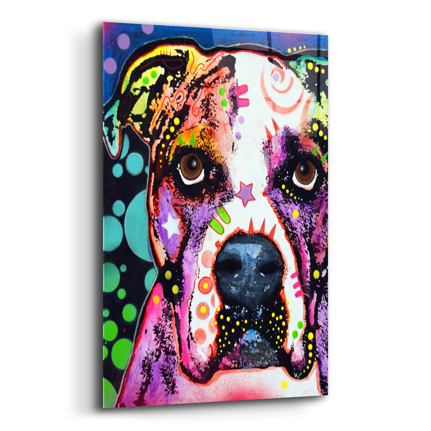 Epic Art 'American Bulldog 2' by Dean Russo, Acrylic Glass Wall Art,12x16