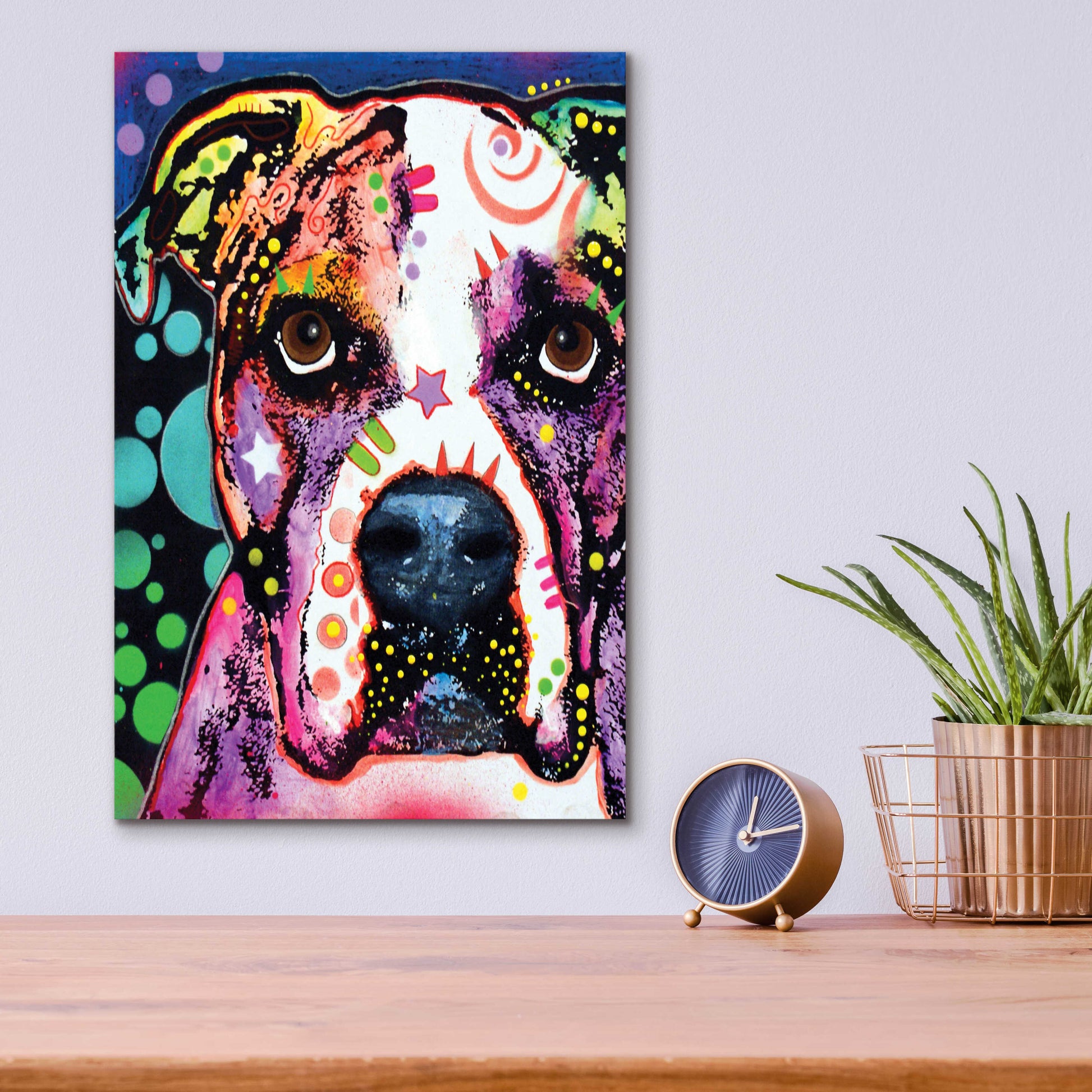 Epic Art 'American Bulldog 2' by Dean Russo, Acrylic Glass Wall Art,12x16