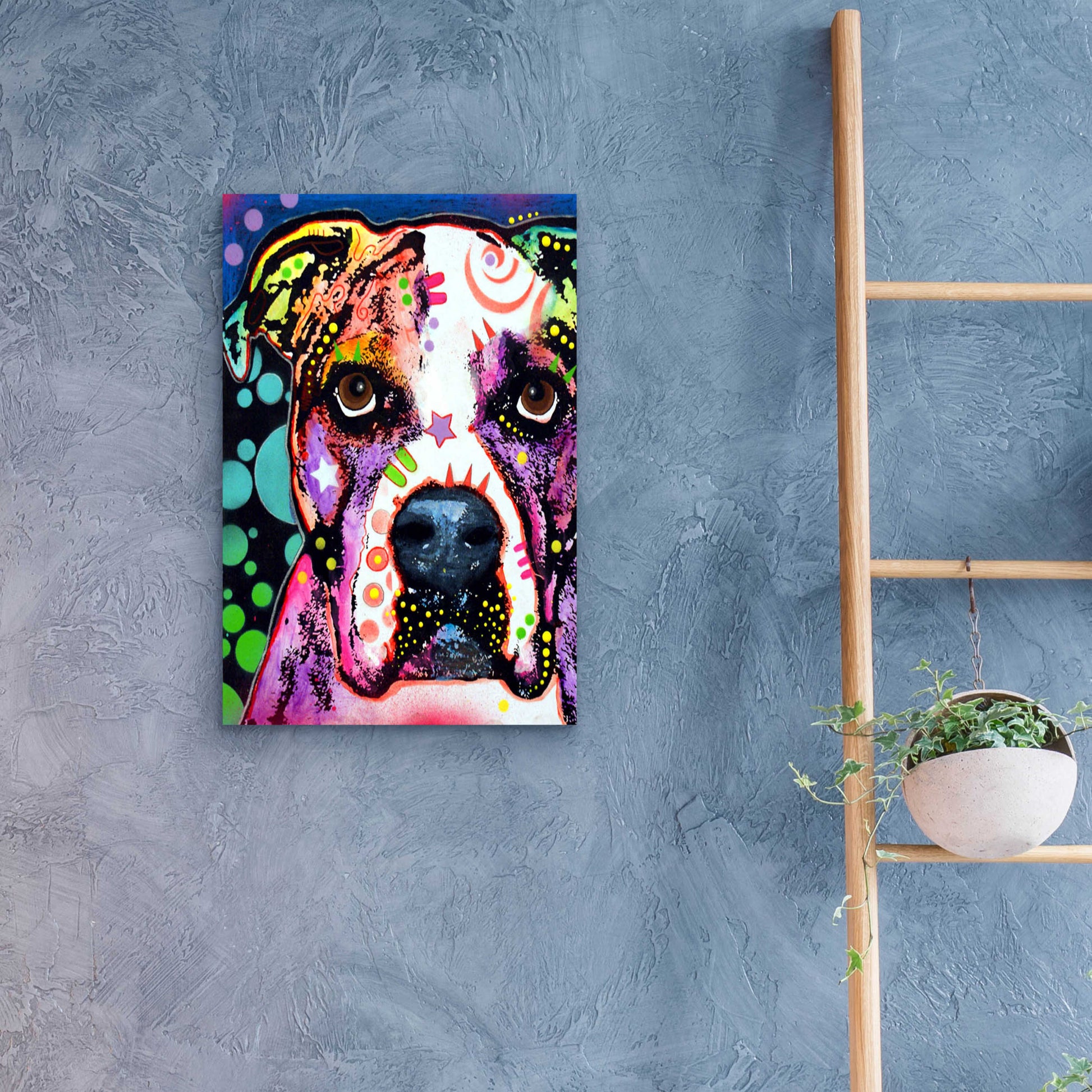 Epic Art 'American Bulldog 2' by Dean Russo, Acrylic Glass Wall Art,16x24