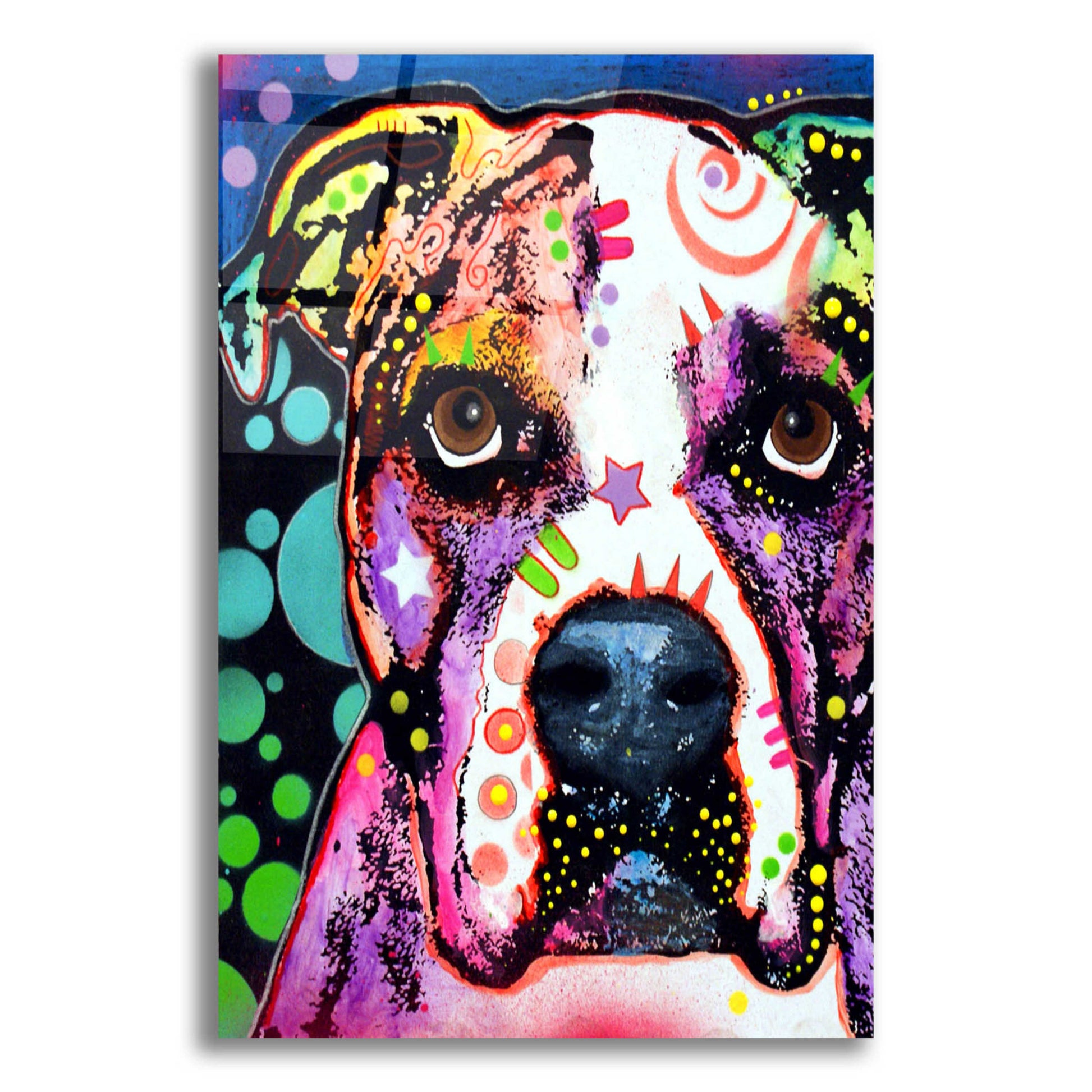 Epic Art 'American Bulldog 2' by Dean Russo, Acrylic Glass Wall Art,16x24