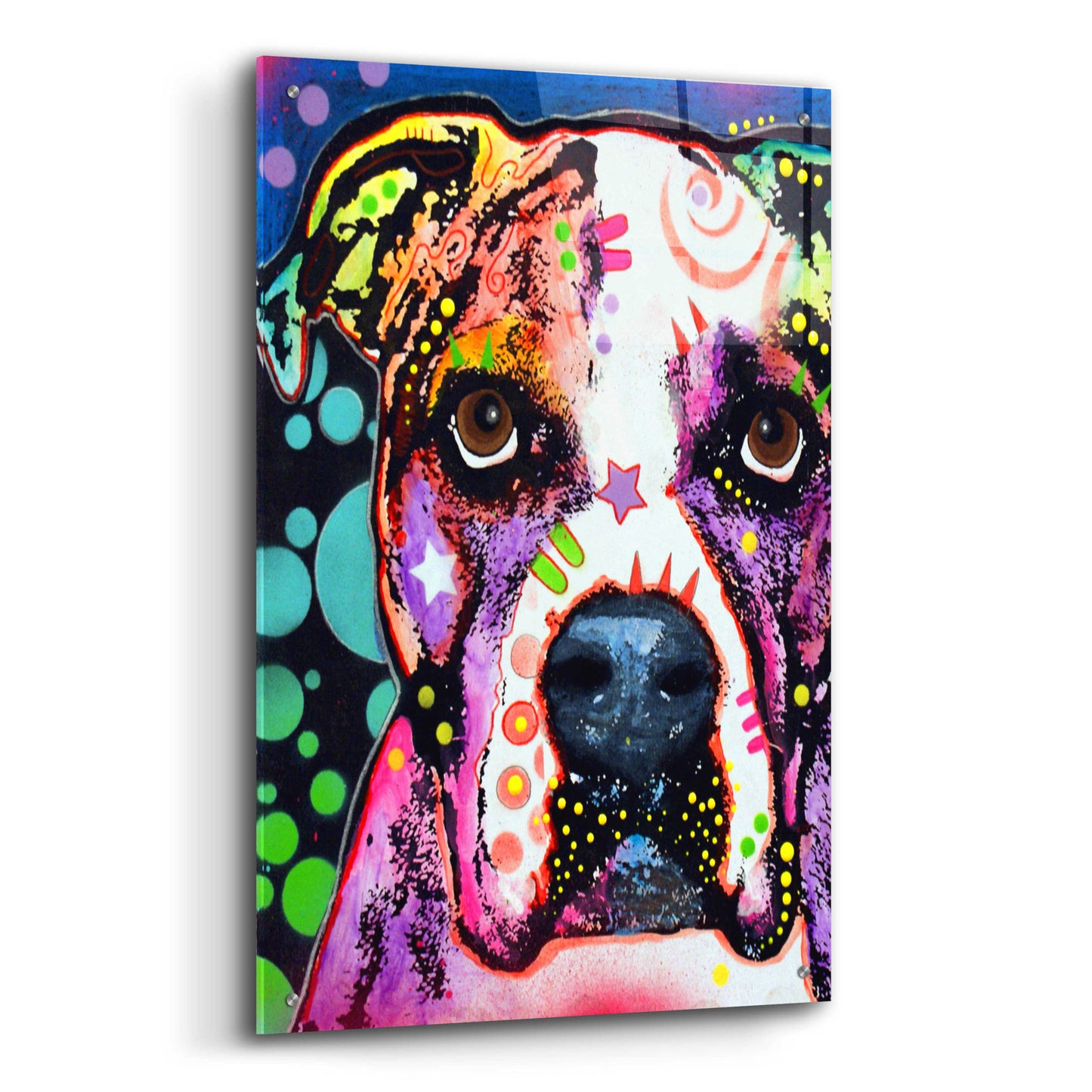 Epic Art 'American Bulldog 2' by Dean Russo, Acrylic Glass Wall Art,24x36