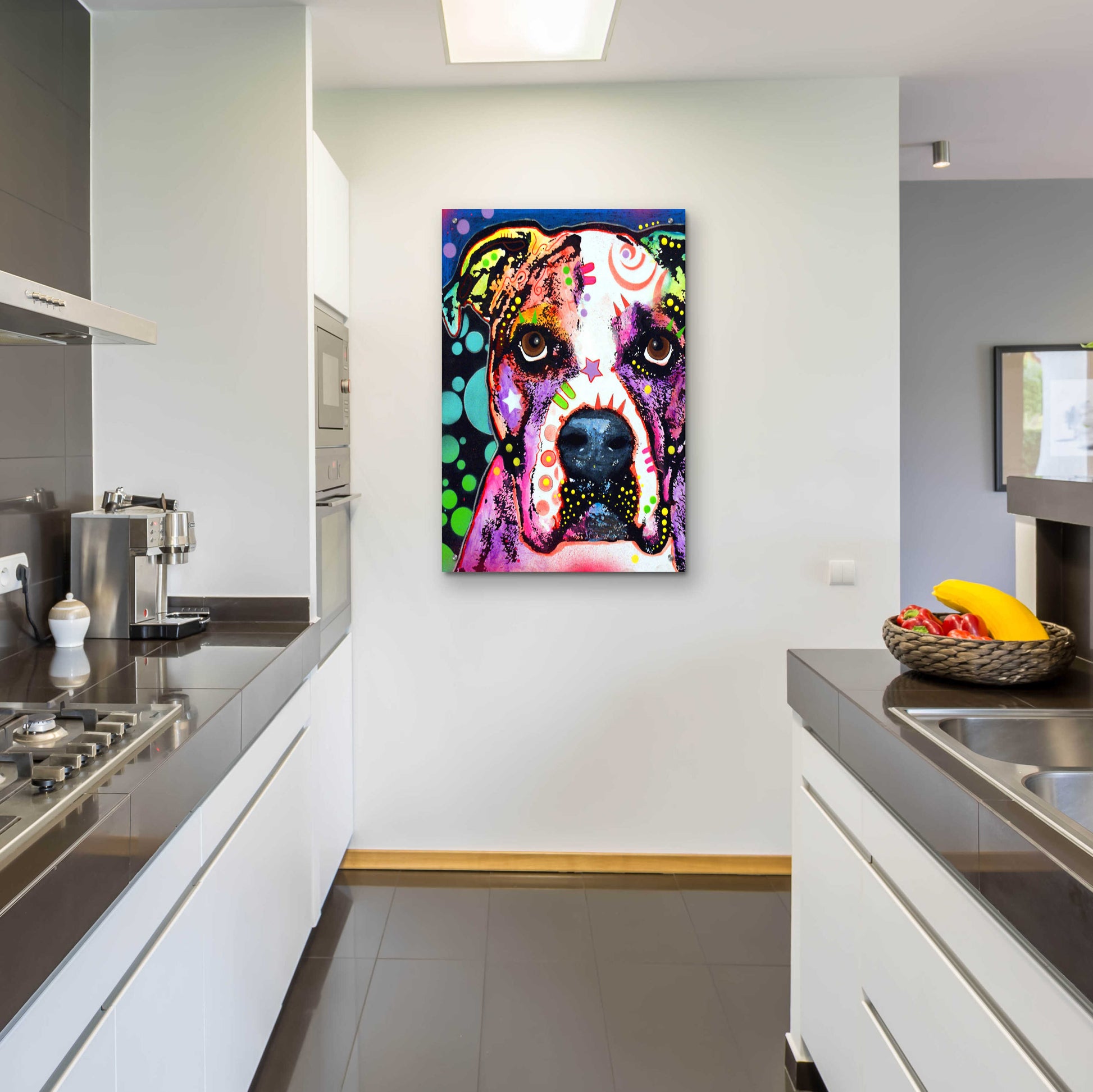 Epic Art 'American Bulldog 2' by Dean Russo, Acrylic Glass Wall Art,24x36