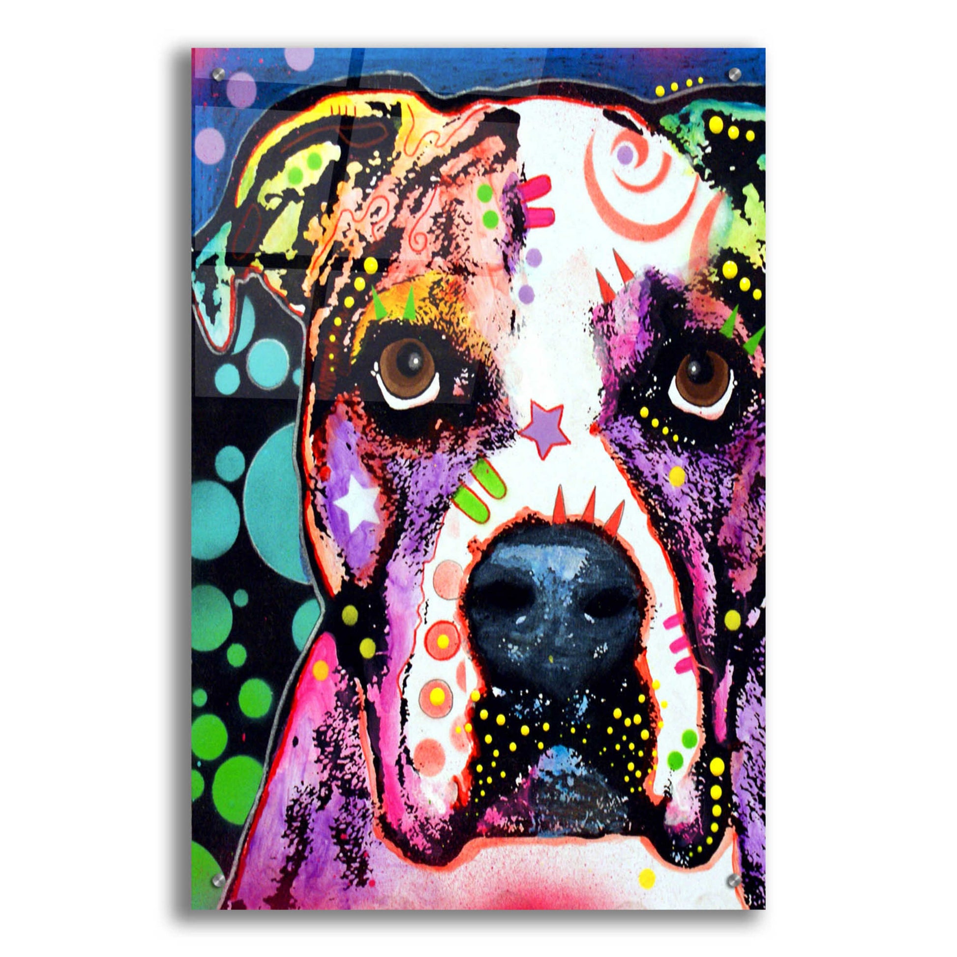 Epic Art 'American Bulldog 2' by Dean Russo, Acrylic Glass Wall Art,24x36