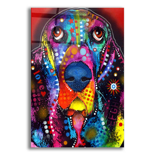 Epic Art 'Basset 2' by Dean Russo, Acrylic Glass Wall Art