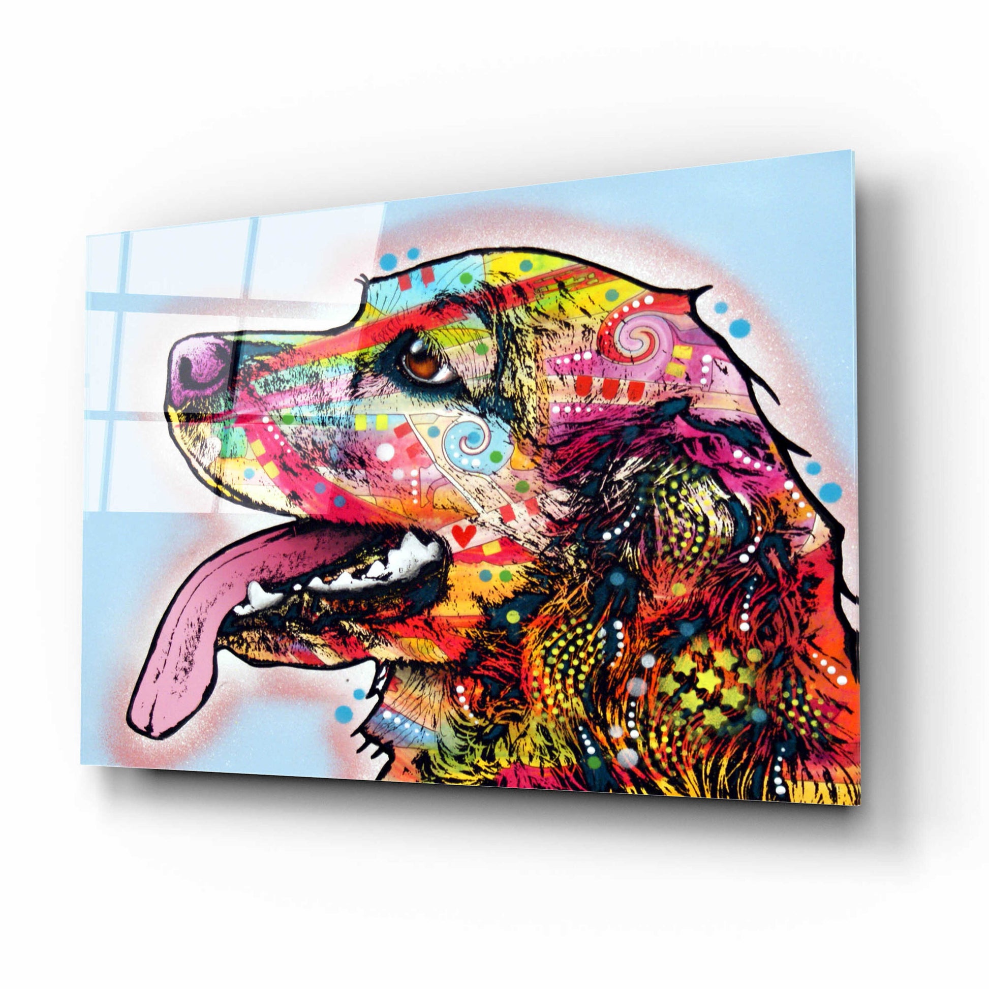 Epic Art 'Cocker Spaniel 1' by Dean Russo, Acrylic Glass Wall Art,16x12