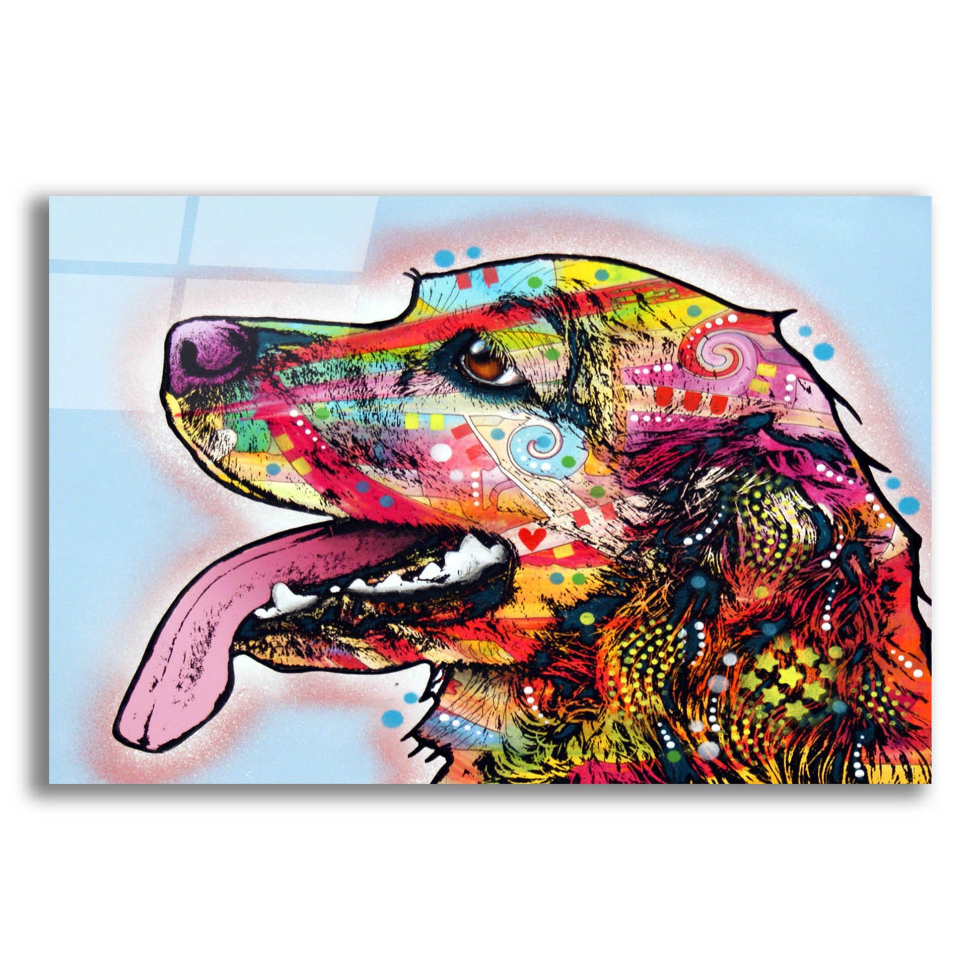 Epic Art 'Cocker Spaniel 1' by Dean Russo, Acrylic Glass Wall Art,16x12