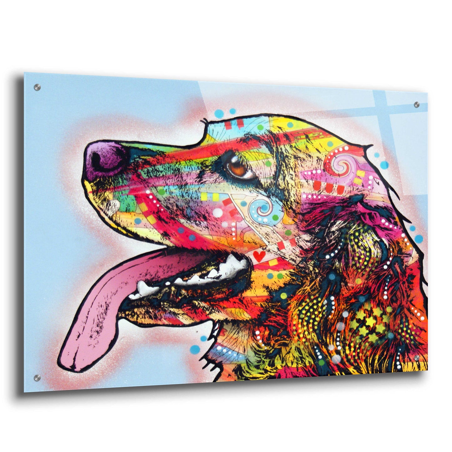 Epic Art 'Cocker Spaniel 1' by Dean Russo, Acrylic Glass Wall Art,36x24