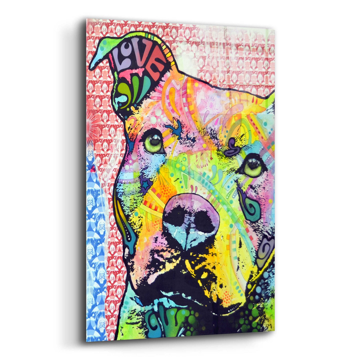 Epic Art 'Thoughtful Pit Bull This Years Love 2013 Part 1' by Dean Russo, Acrylic Glass Wall Art,12x16