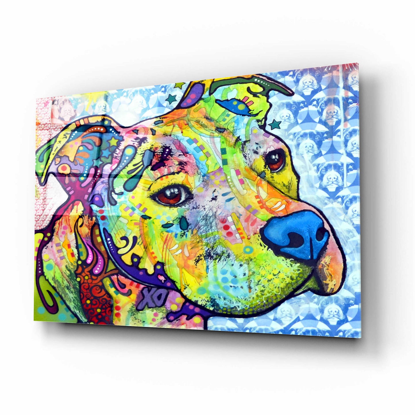 Epic Art 'Thoughtful Pit Bull This Years Love 2013 Part 2' by Dean Russo, Acrylic Glass Wall Art,16x12