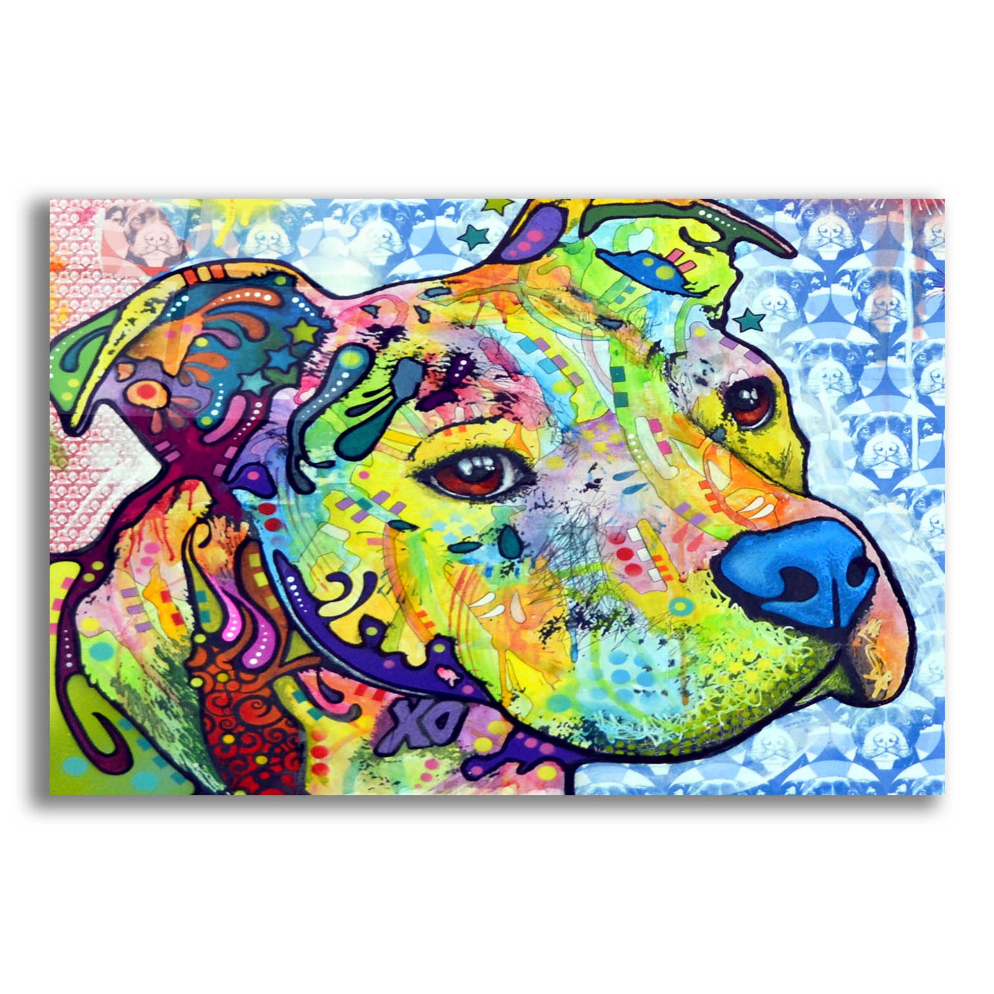 Epic Art 'Thoughtful Pit Bull This Years Love 2013 Part 2' by Dean Russo, Acrylic Glass Wall Art,16x12