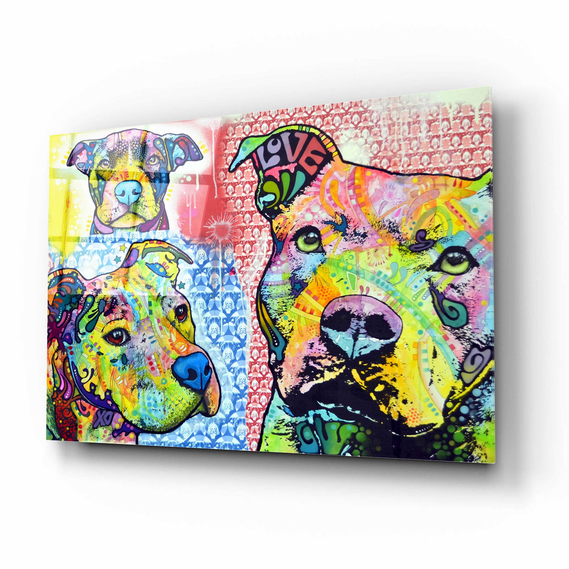 Epic Art 'Thoughtful Pit Bull This Years Love 2013 Part 3' by Dean Russo, Acrylic Glass Wall Art,16x12