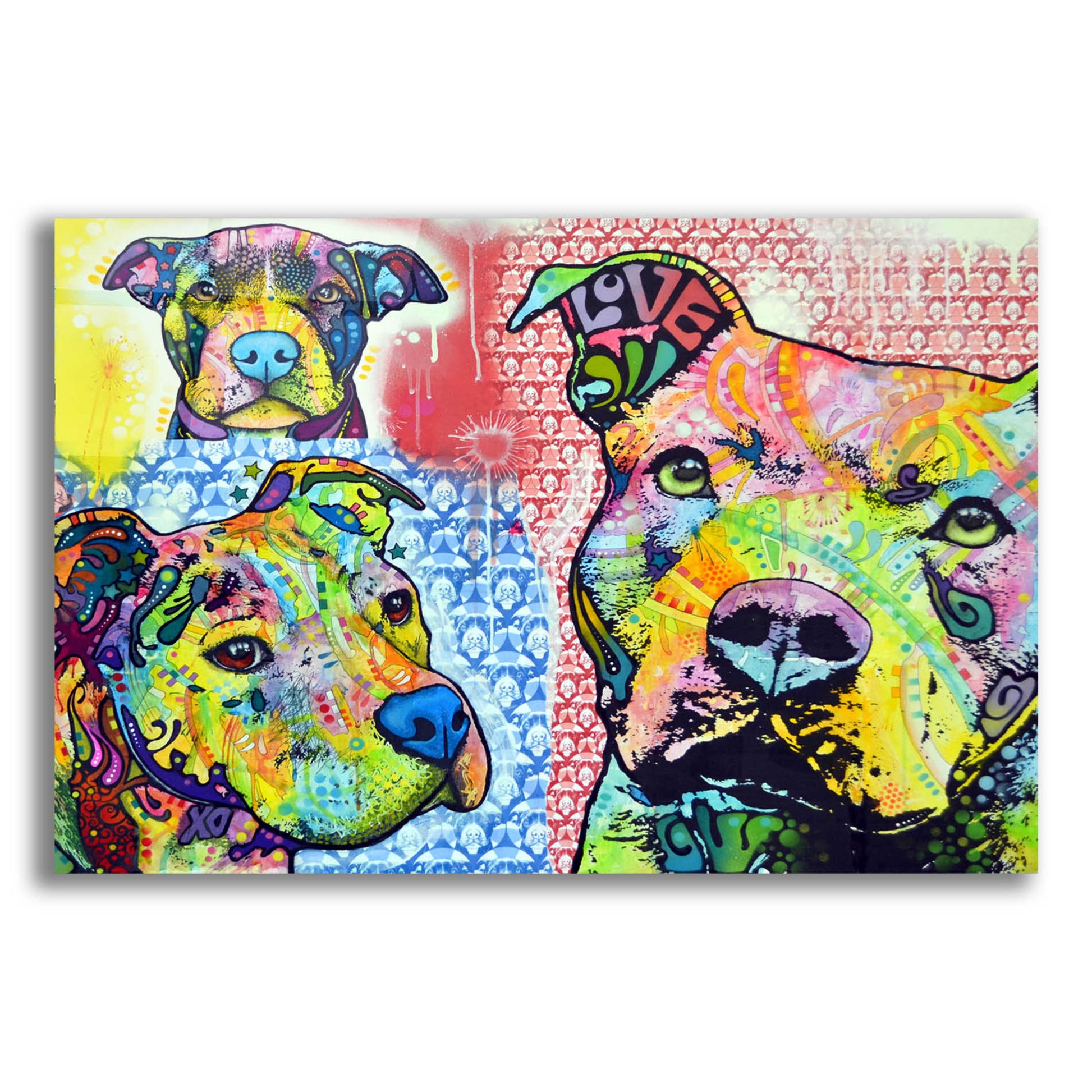 Epic Art 'Thoughtful Pit Bull This Years Love 2013 Part 3' by Dean Russo, Acrylic Glass Wall Art,16x12