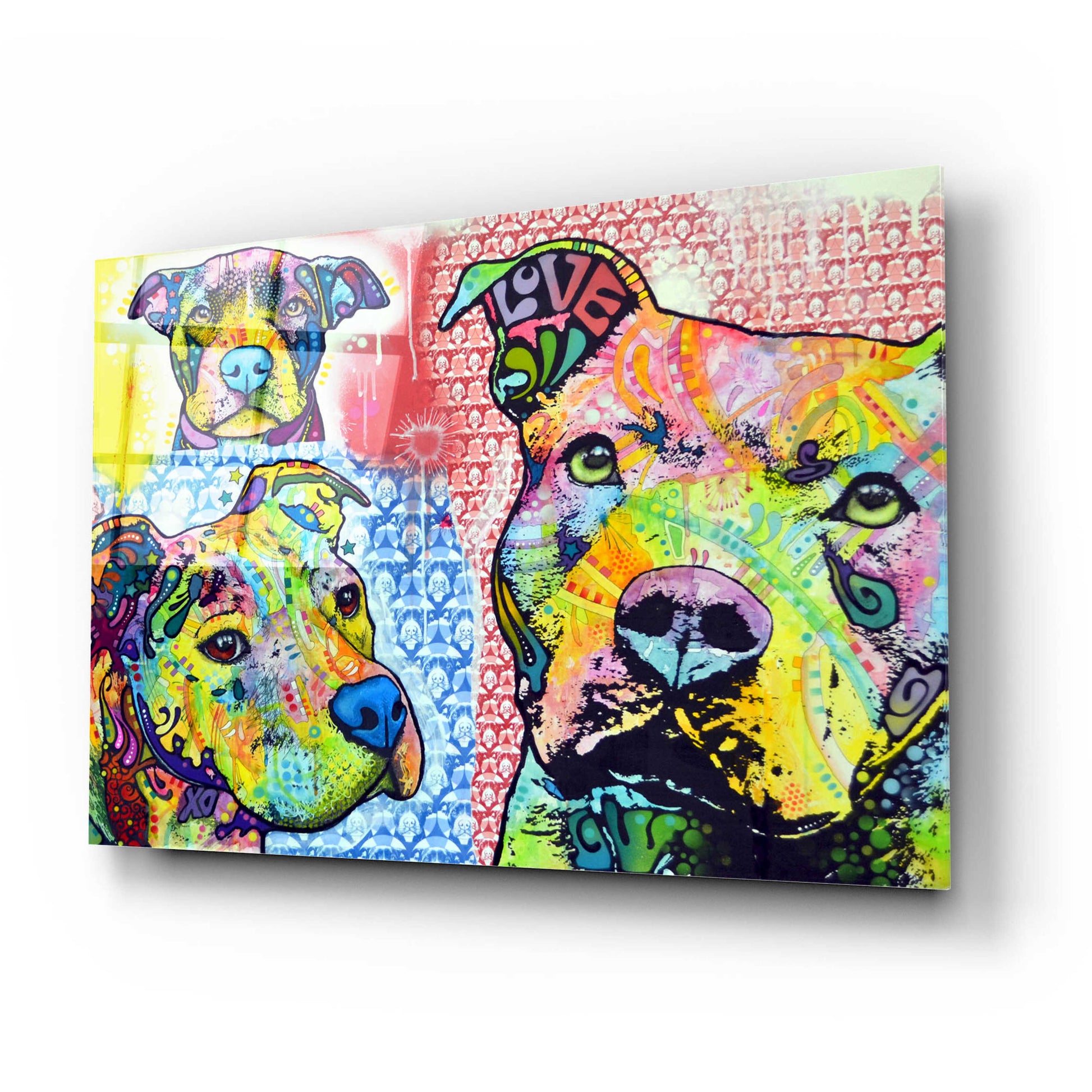 Epic Art 'Thoughtful Pit Bull This Years Love 2013 Part 3' by Dean Russo, Acrylic Glass Wall Art,24x16