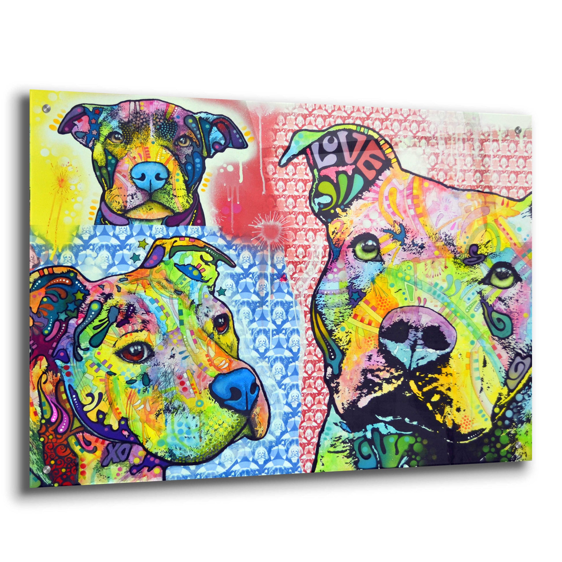 Epic Art 'Thoughtful Pit Bull This Years Love 2013 Part 3' by Dean Russo, Acrylic Glass Wall Art,36x24