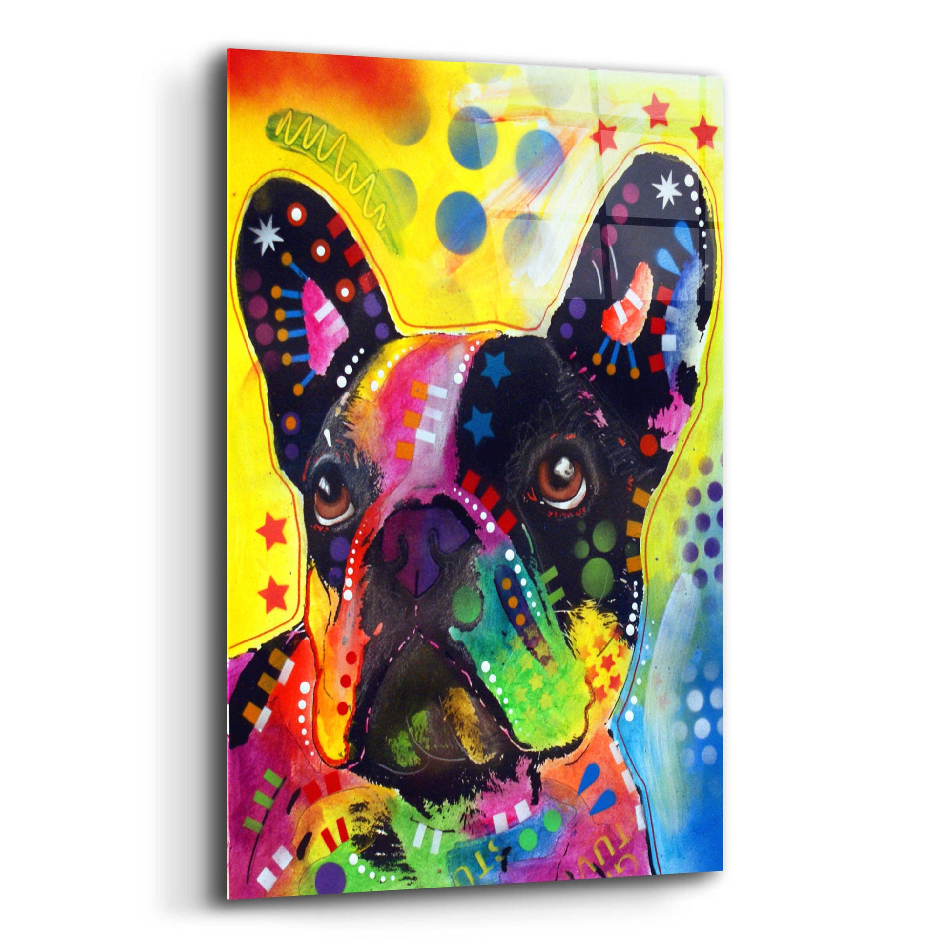 Epic Art 'French Bulldog 2' by Dean Russo, Acrylic Glass Wall Art,12x16