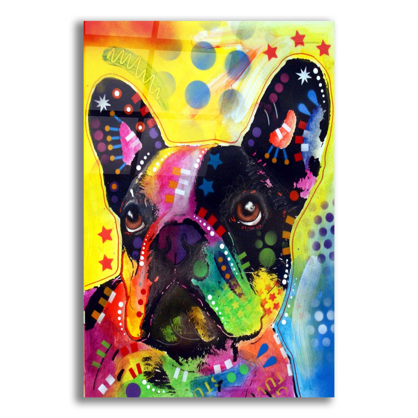 Epic Art 'French Bulldog 2' by Dean Russo, Acrylic Glass Wall Art,16x24