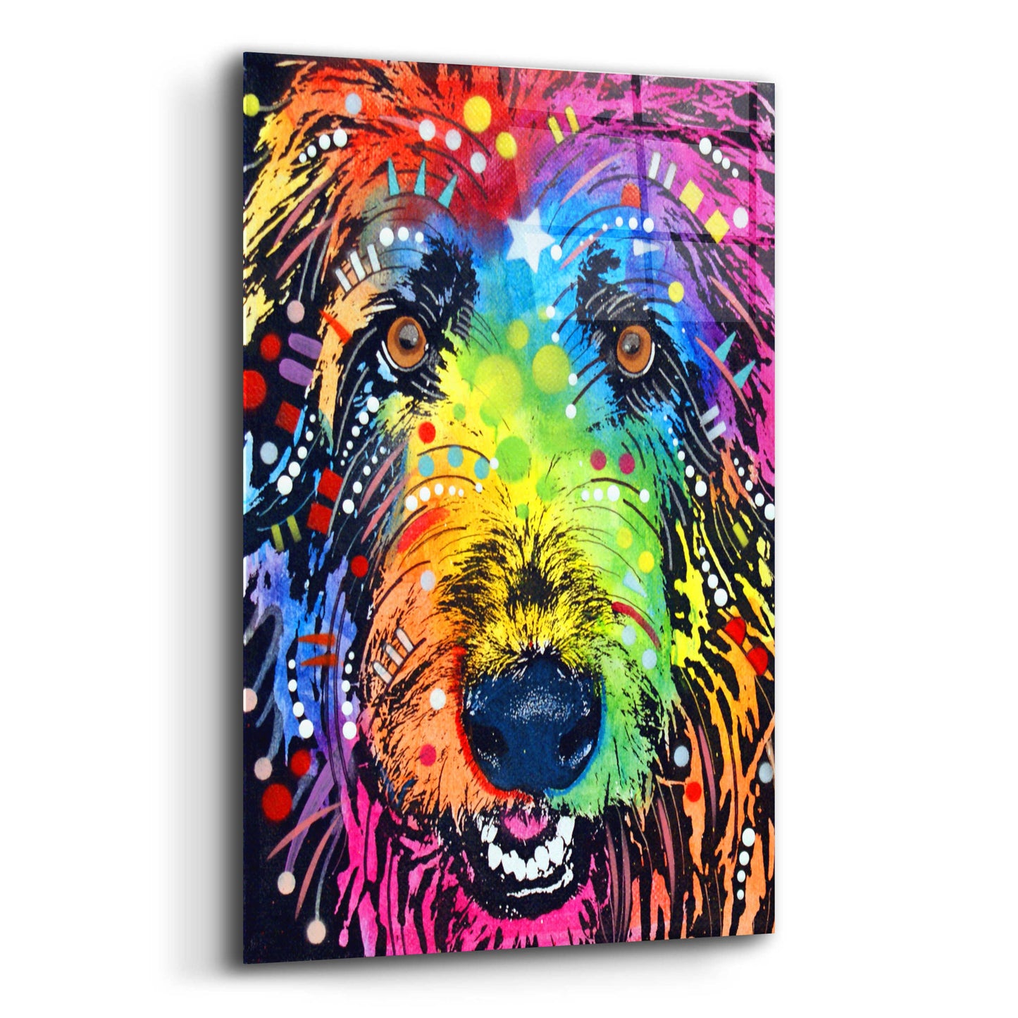 Epic Art 'Irish Wolfhound' by Dean Russo, Acrylic Glass Wall Art,12x16