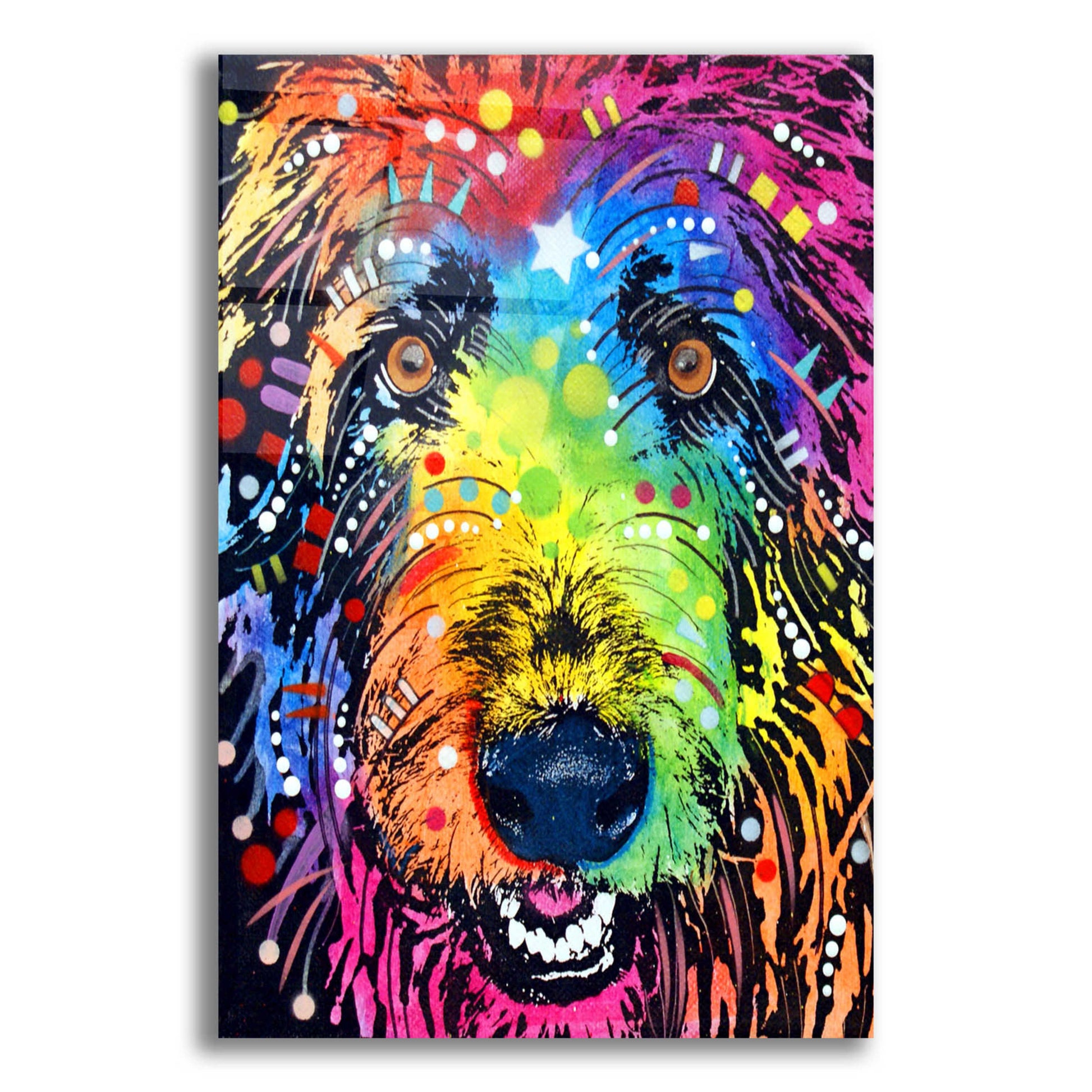 Epic Art 'Irish Wolfhound' by Dean Russo, Acrylic Glass Wall Art,12x16