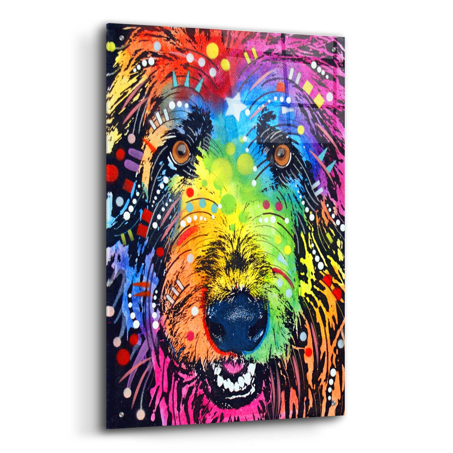 Epic Art 'Irish Wolfhound' by Dean Russo, Acrylic Glass Wall Art,24x36