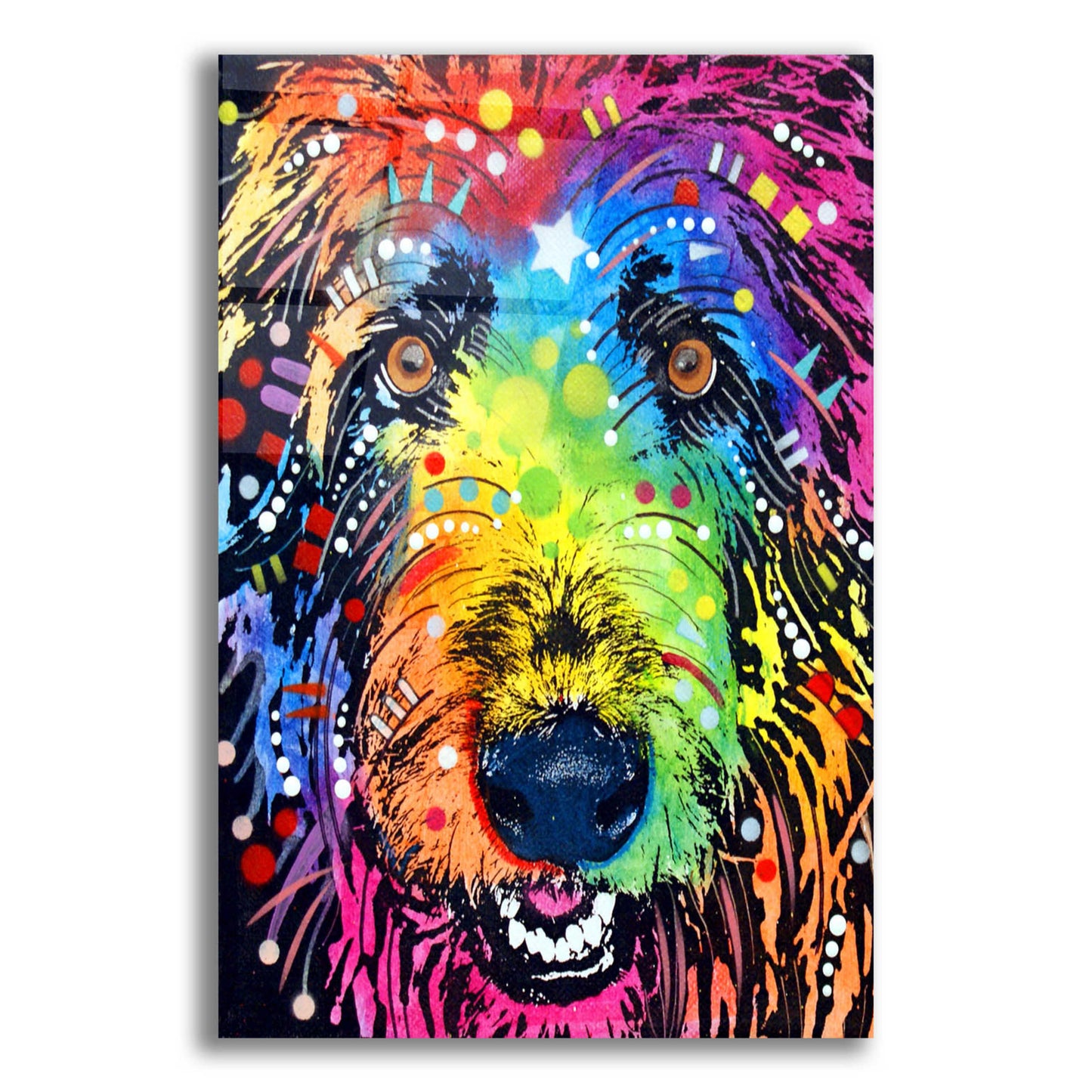 Epic Art 'Irish Wolfhound' by Dean Russo, Acrylic Glass Wall Art