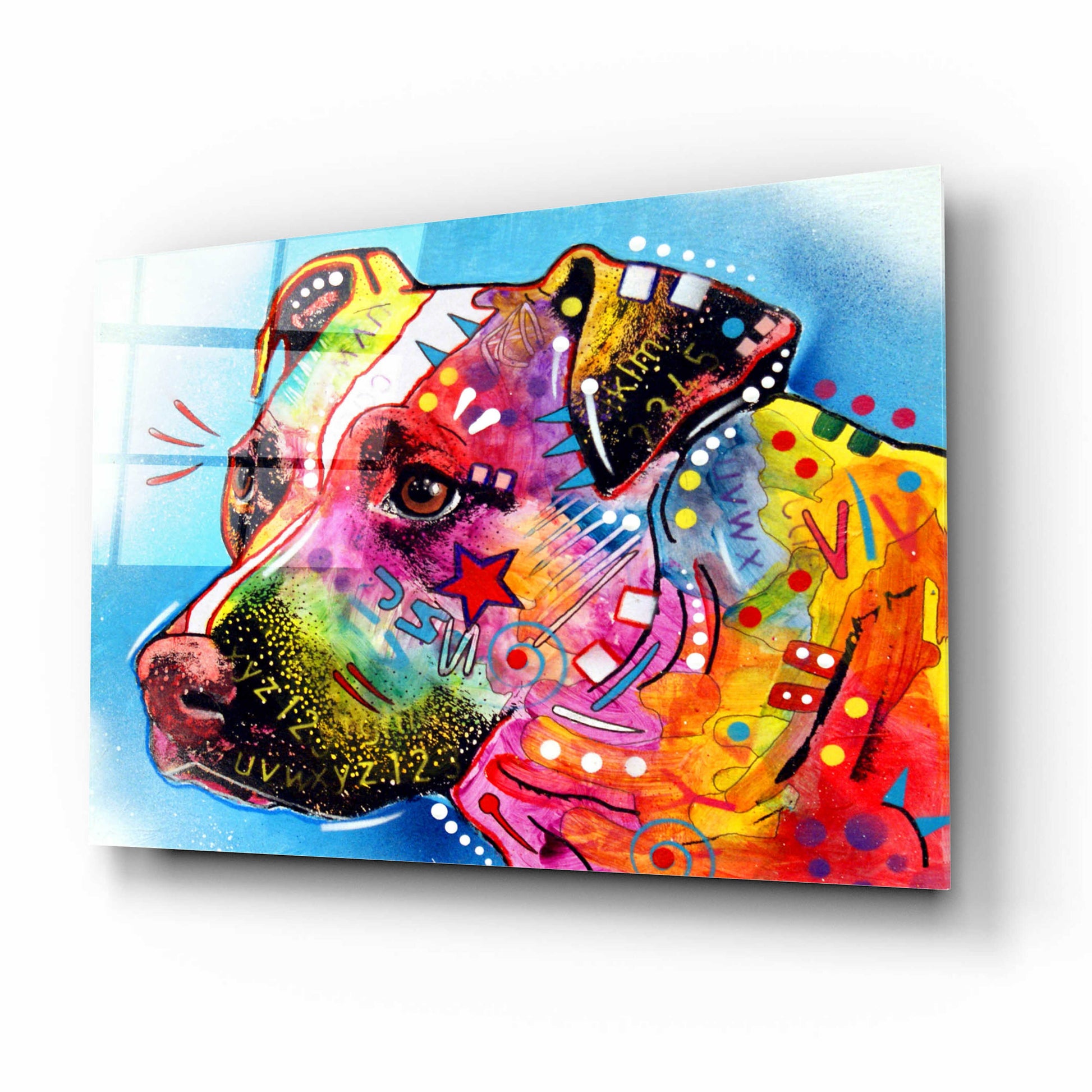 Epic Art 'Pit Bull 1059' by Dean Russo, Acrylic Glass Wall Art,16x12