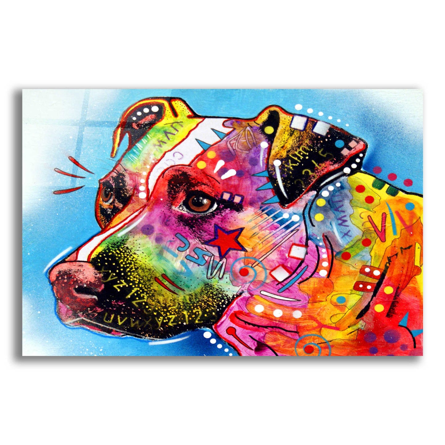 Epic Art 'Pit Bull 1059' by Dean Russo, Acrylic Glass Wall Art,16x12