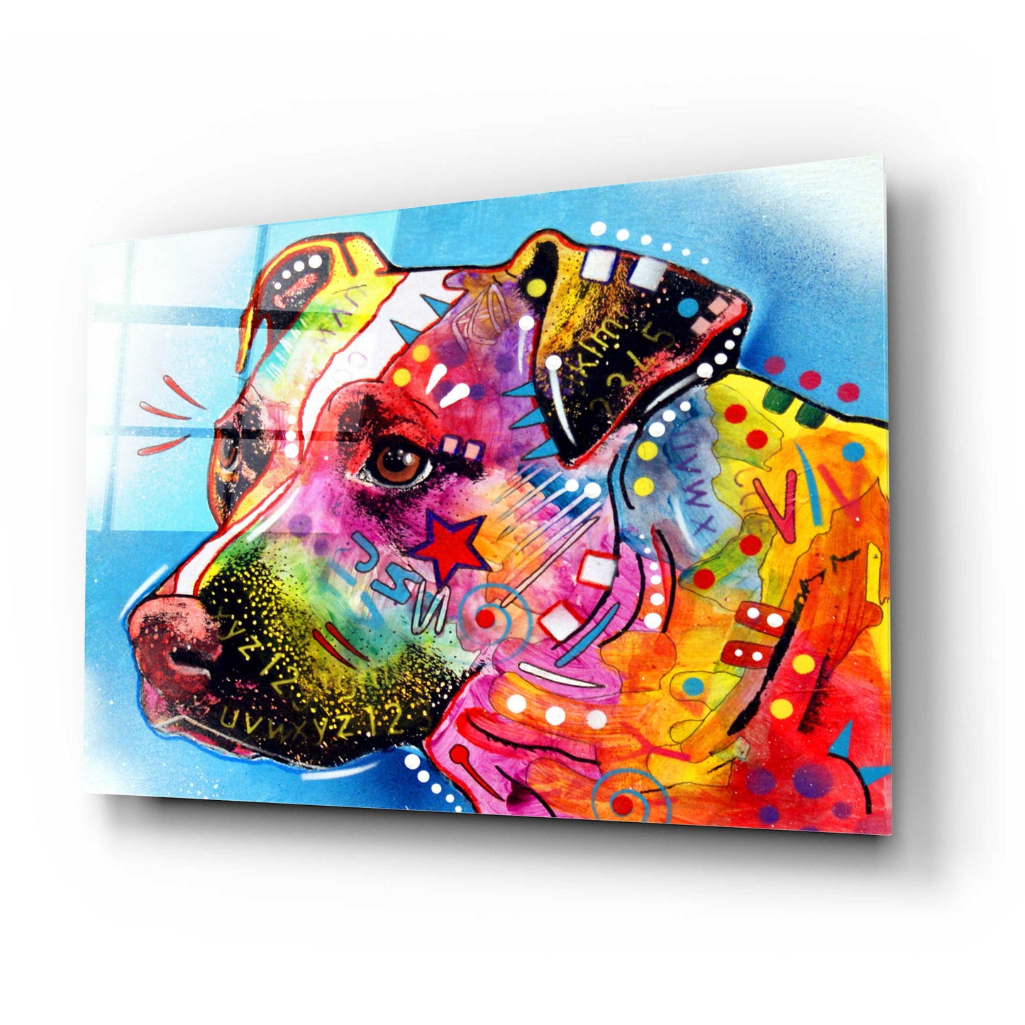 Epic Art 'Pit Bull 1059' by Dean Russo, Acrylic Glass Wall Art,24x16