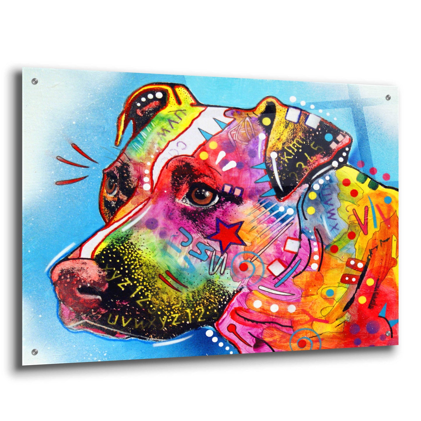 Epic Art 'Pit Bull 1059' by Dean Russo, Acrylic Glass Wall Art,36x24