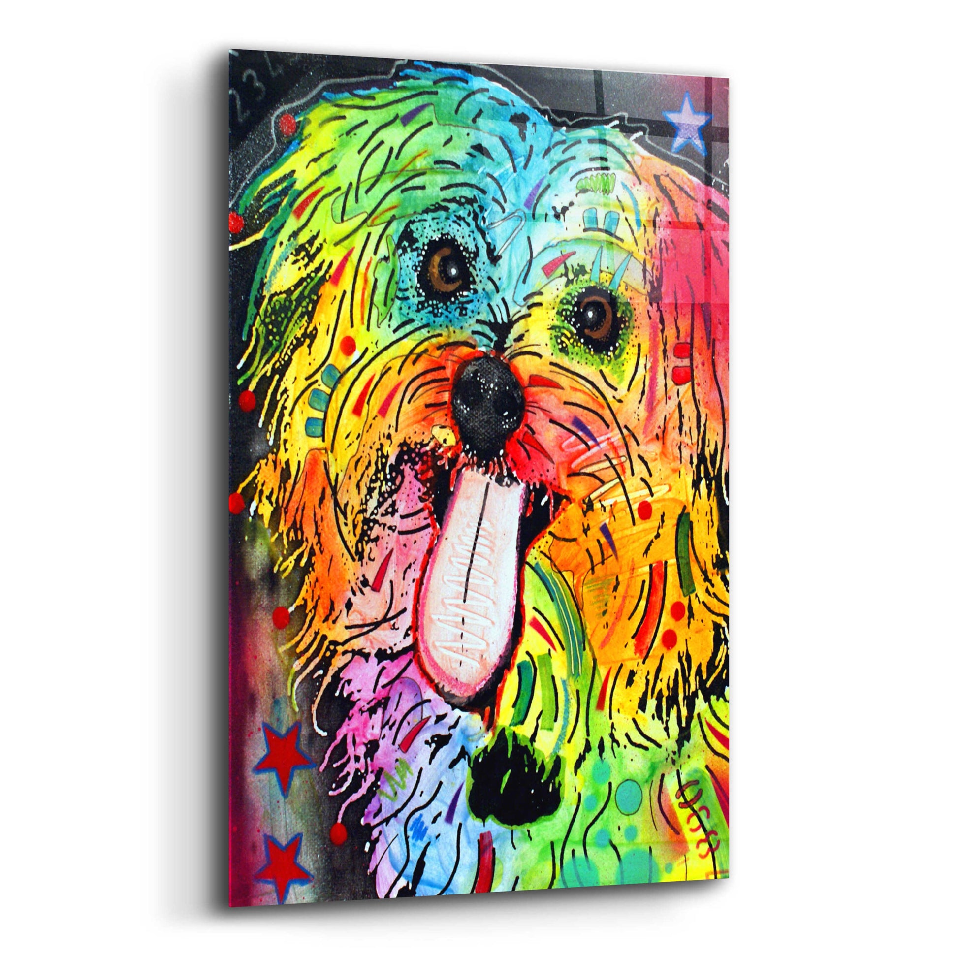 Epic Art 'Shih Tzu' by Dean Russo, Acrylic Glass Wall Art,12x16