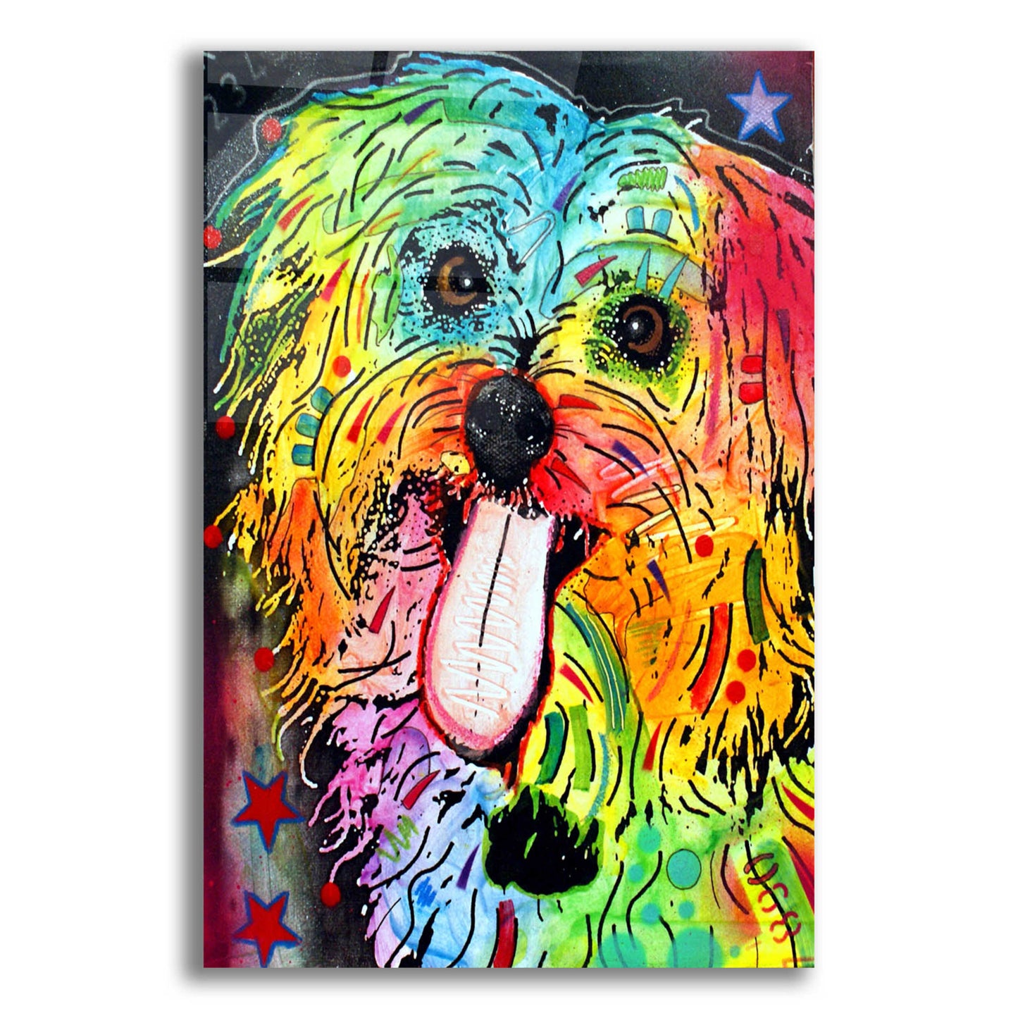 Epic Art 'Shih Tzu' by Dean Russo, Acrylic Glass Wall Art,12x16