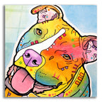 Epic Art 'Skittles' by Dean Russo, Acrylic Glass Wall Art