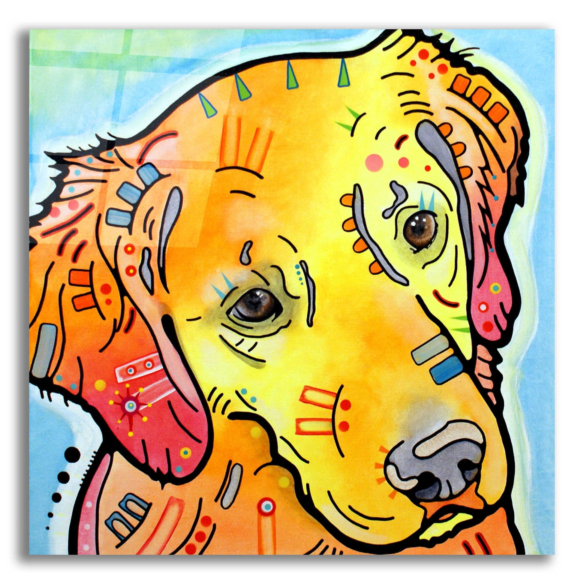 Epic Art 'The Golden(Ish) Retriever' by Dean Russo, Acrylic Glass Wall Art,12x12