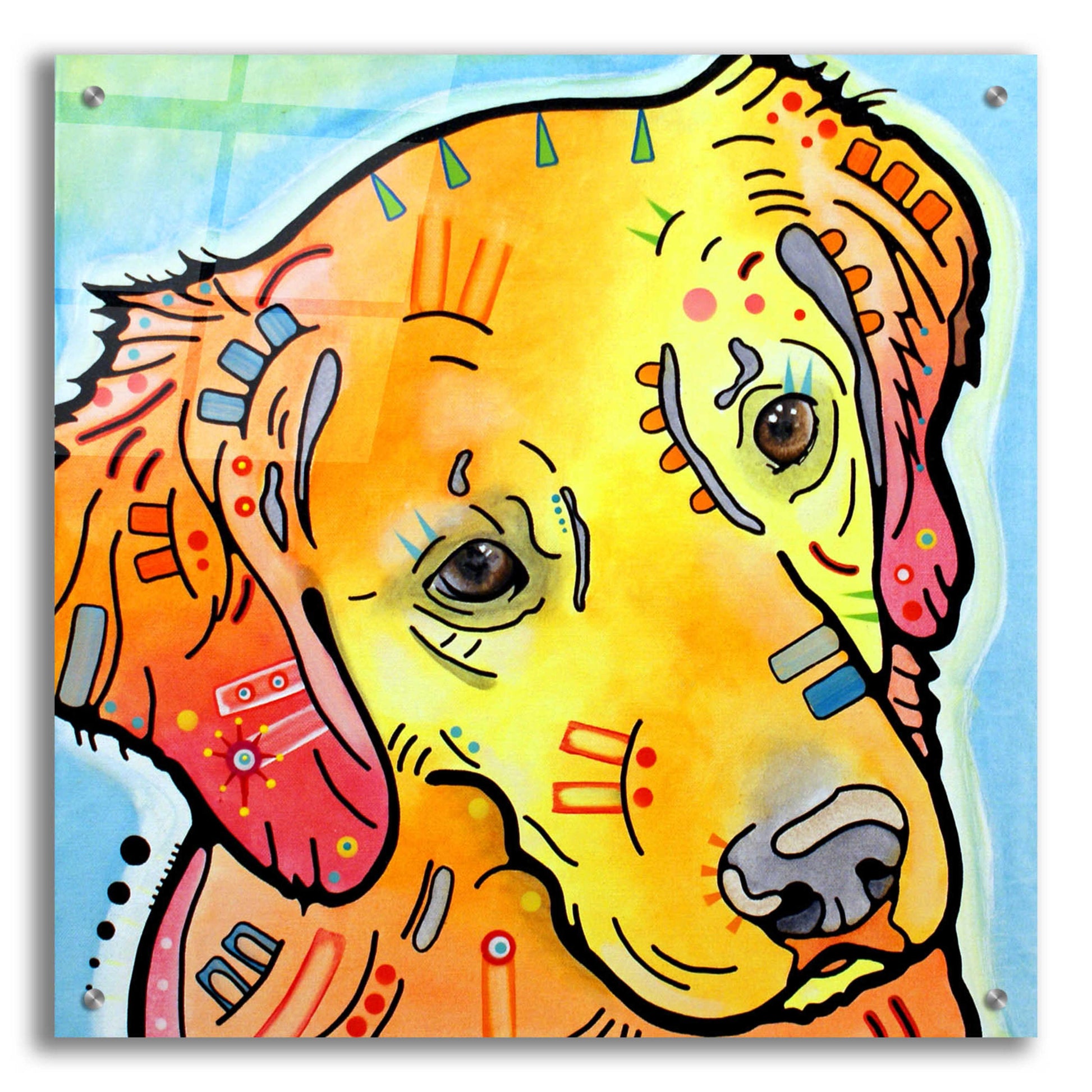 Epic Art 'The Golden(Ish) Retriever' by Dean Russo, Acrylic Glass Wall Art,24x24