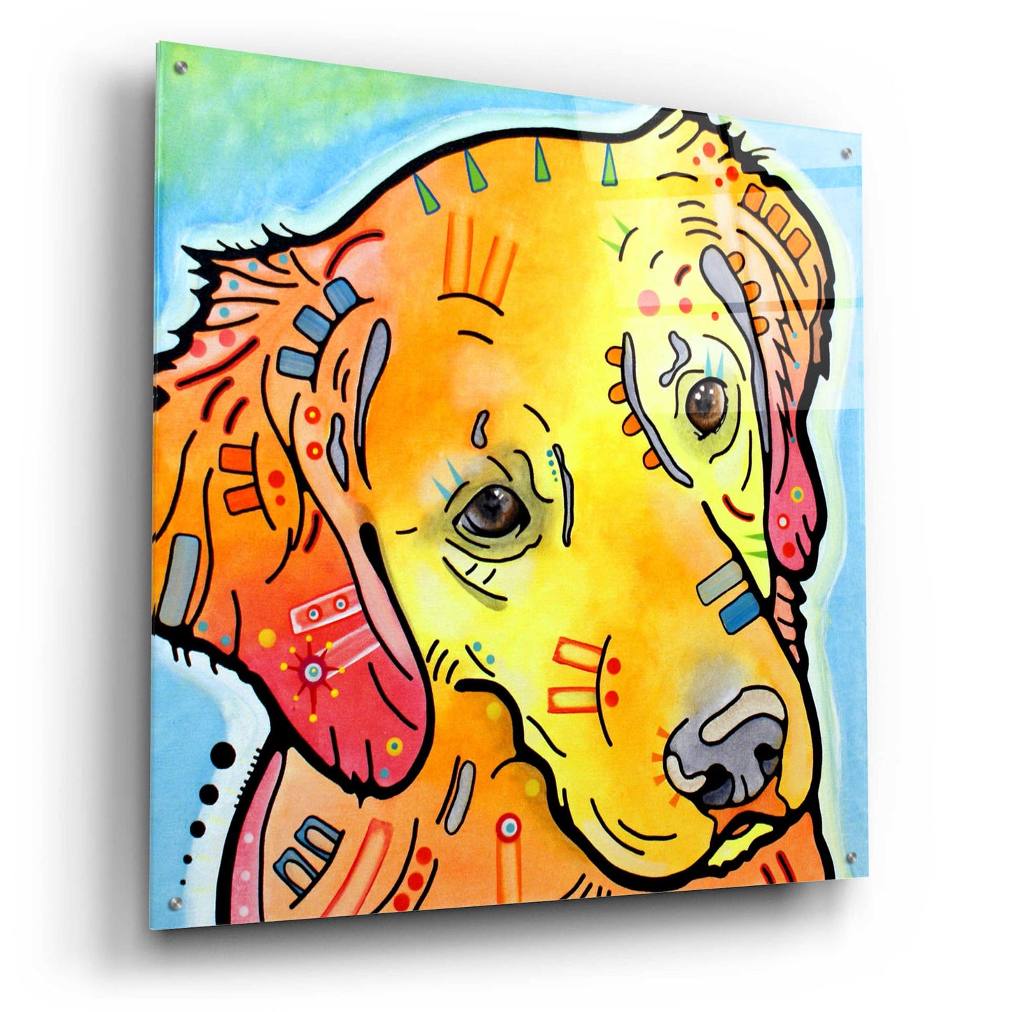 Epic Art 'The Golden(Ish) Retriever' by Dean Russo, Acrylic Glass Wall Art,36x36