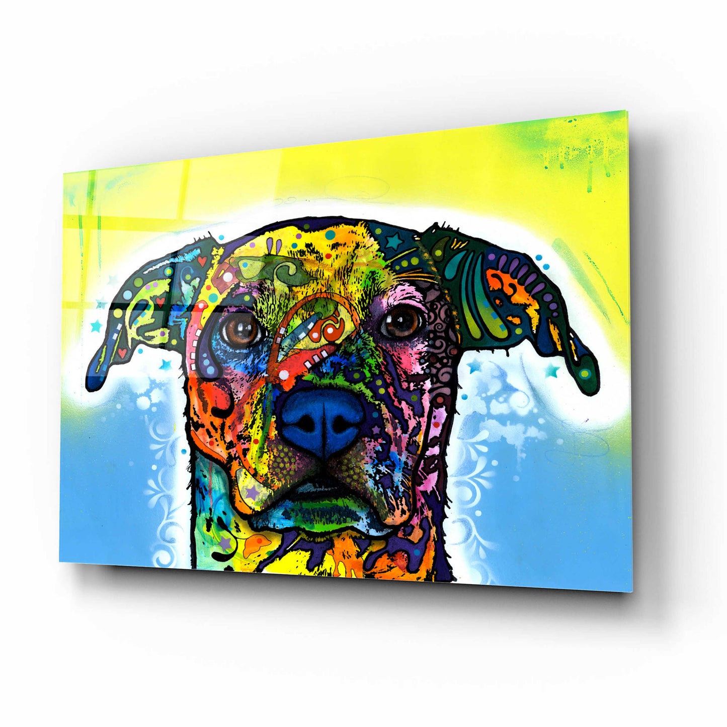 Epic Art 'Fiesta' by Dean Russo, Acrylic Glass Wall Art,16x12