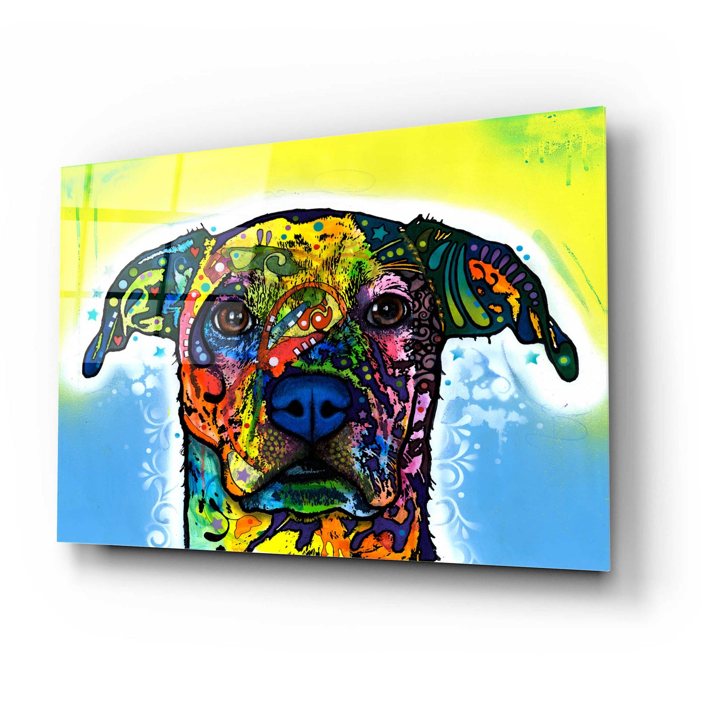 Epic Art 'Fiesta' by Dean Russo, Acrylic Glass Wall Art,24x16