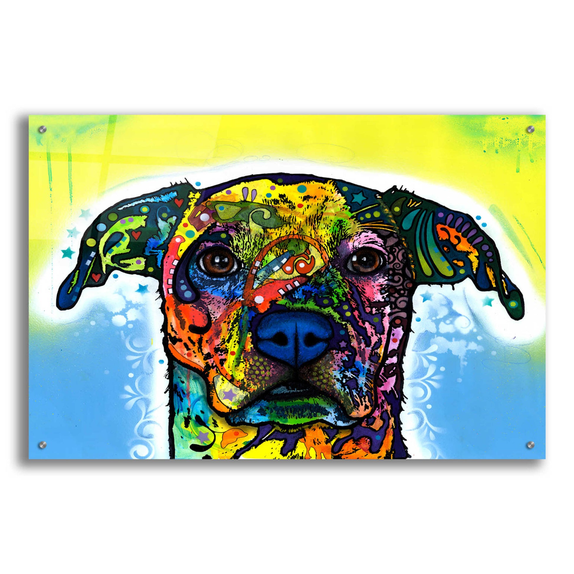 Epic Art 'Fiesta' by Dean Russo, Acrylic Glass Wall Art,36x24