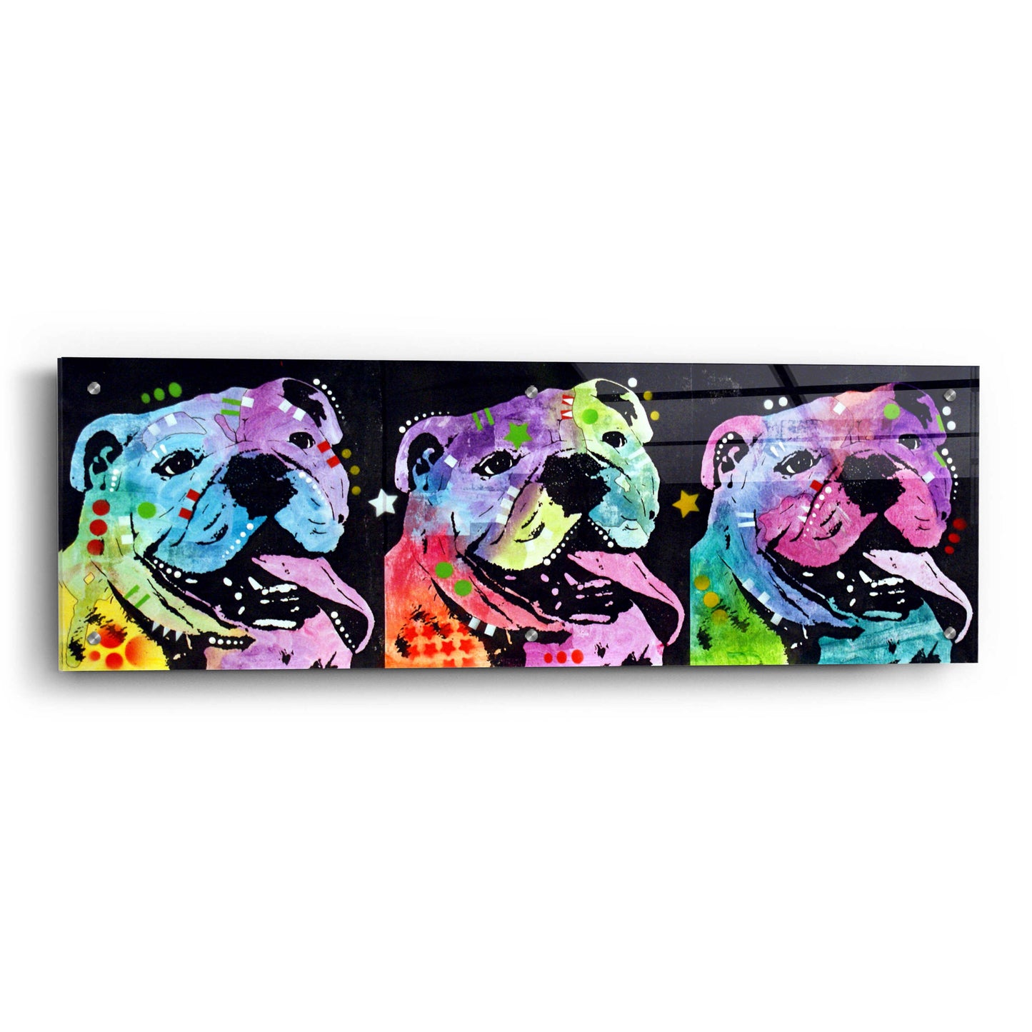 Epic Art '3 Bulldogs' by Dean Russo, Acrylic Glass Wall Art,36x12