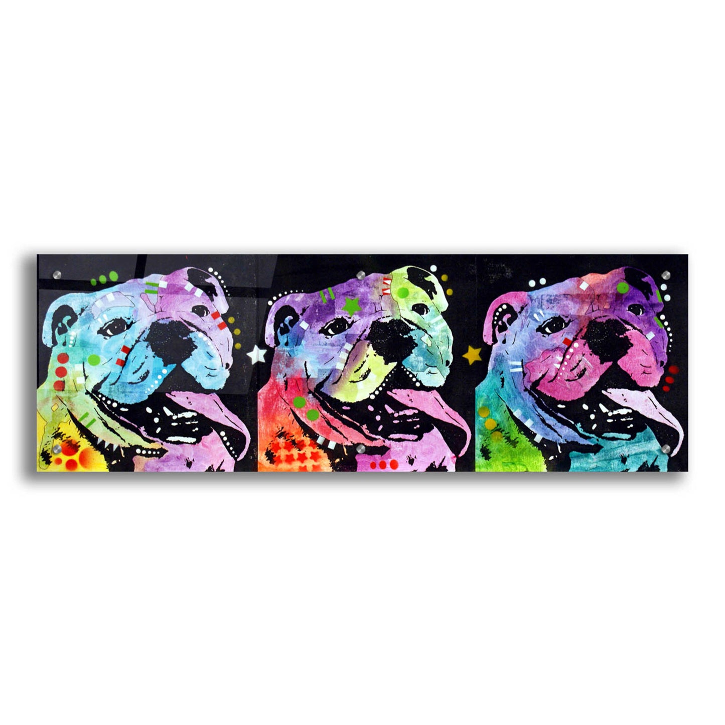 Epic Art '3 Bulldogs' by Dean Russo, Acrylic Glass Wall Art,36x12