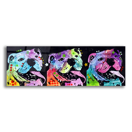 Epic Art '3 Bulldogs' by Dean Russo, Acrylic Glass Wall Art